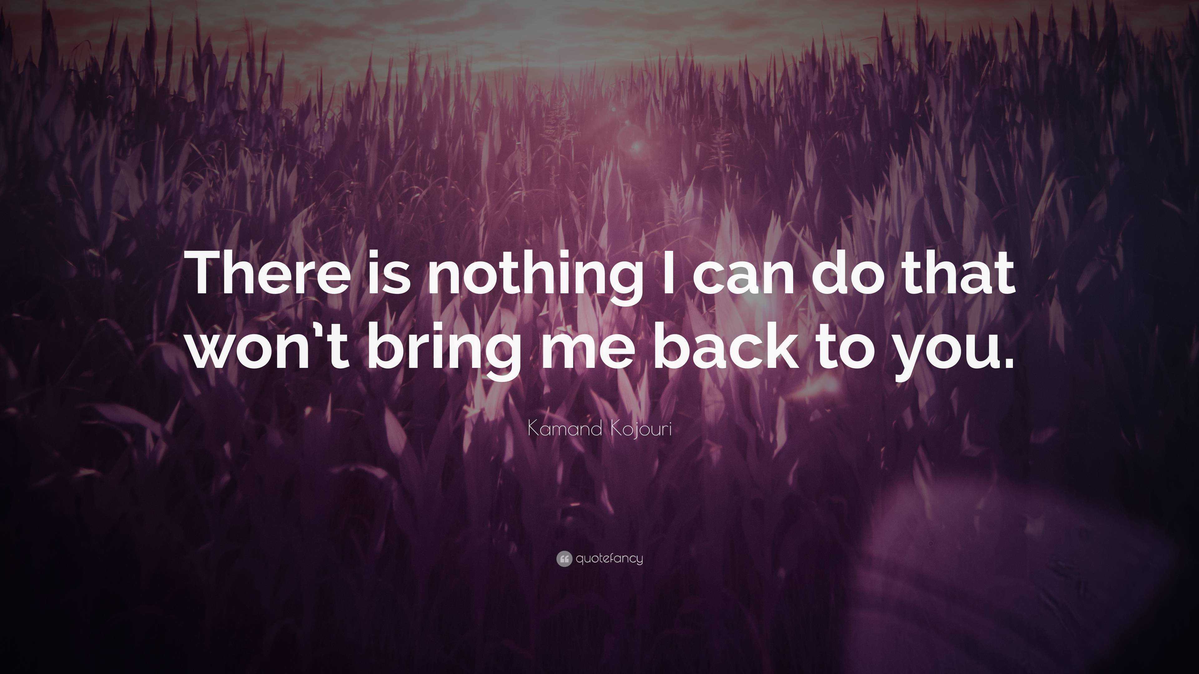 Kamand Kojouri Quote: “There is nothing I can do that won’t bring me ...