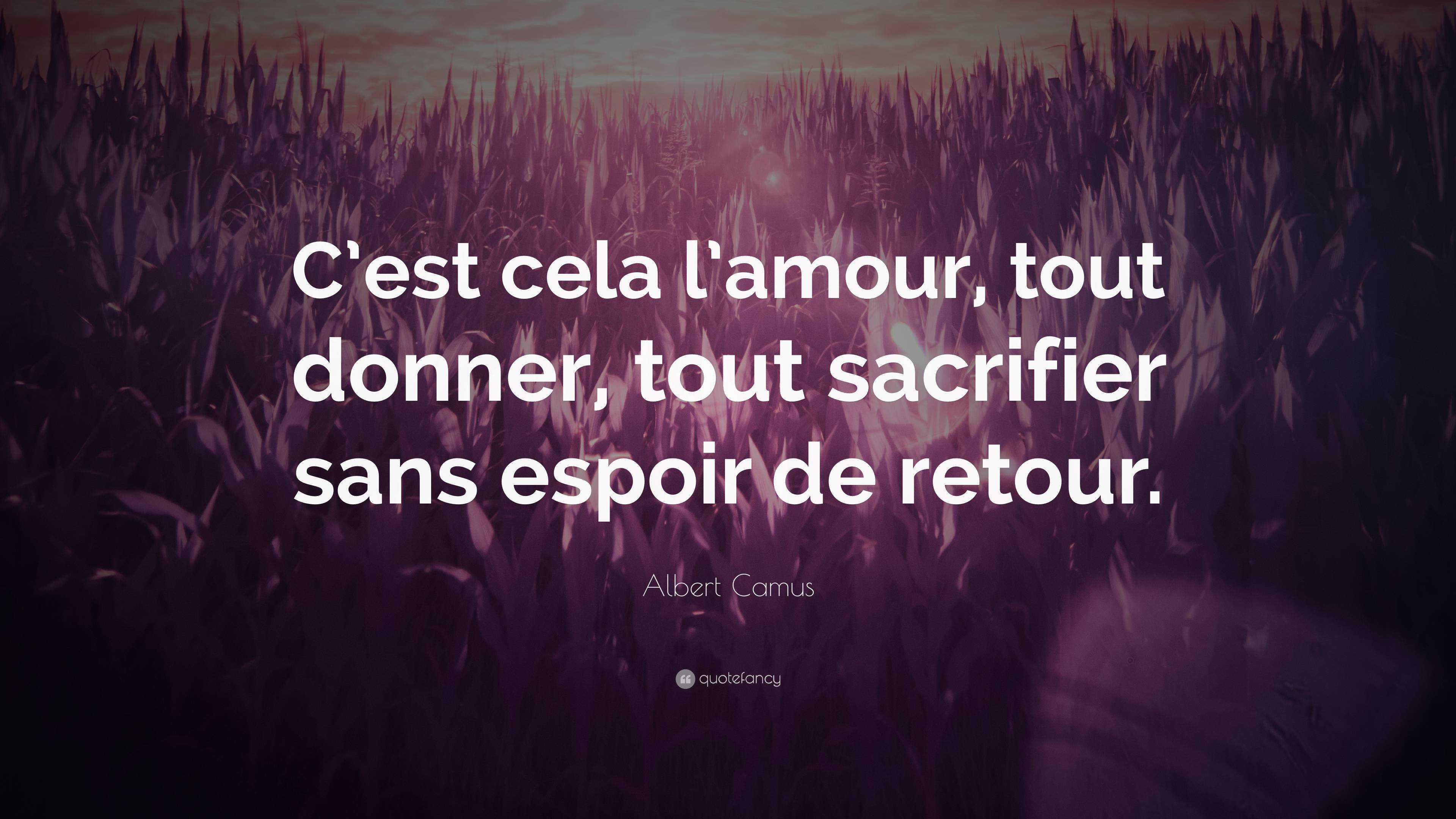 Albert Camus Quote: “C’est cela l’amour, tout donner, tout sacrifier