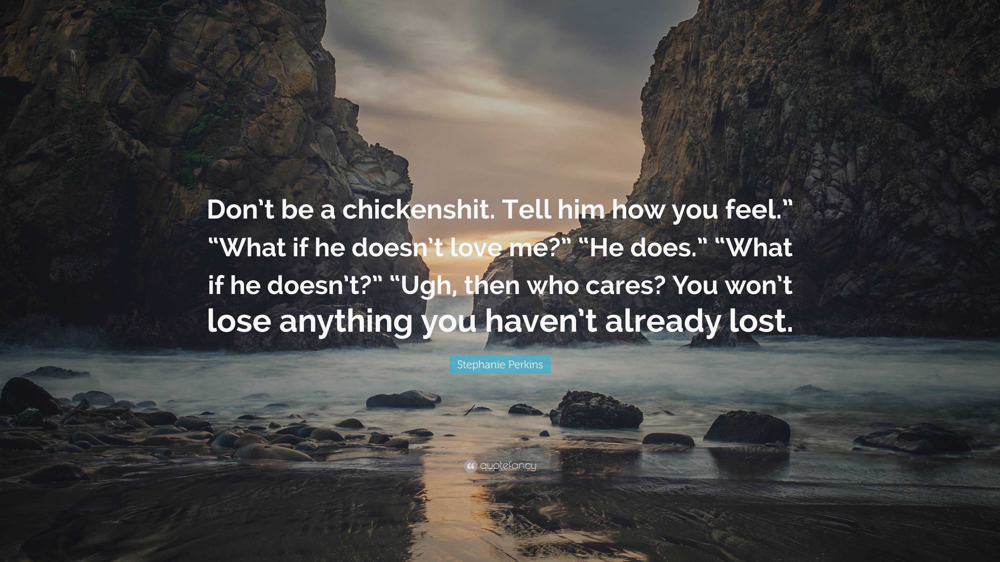 Stephanie Perkins Quote: “Don’t be a chickenshit. Tell him how you feel ...