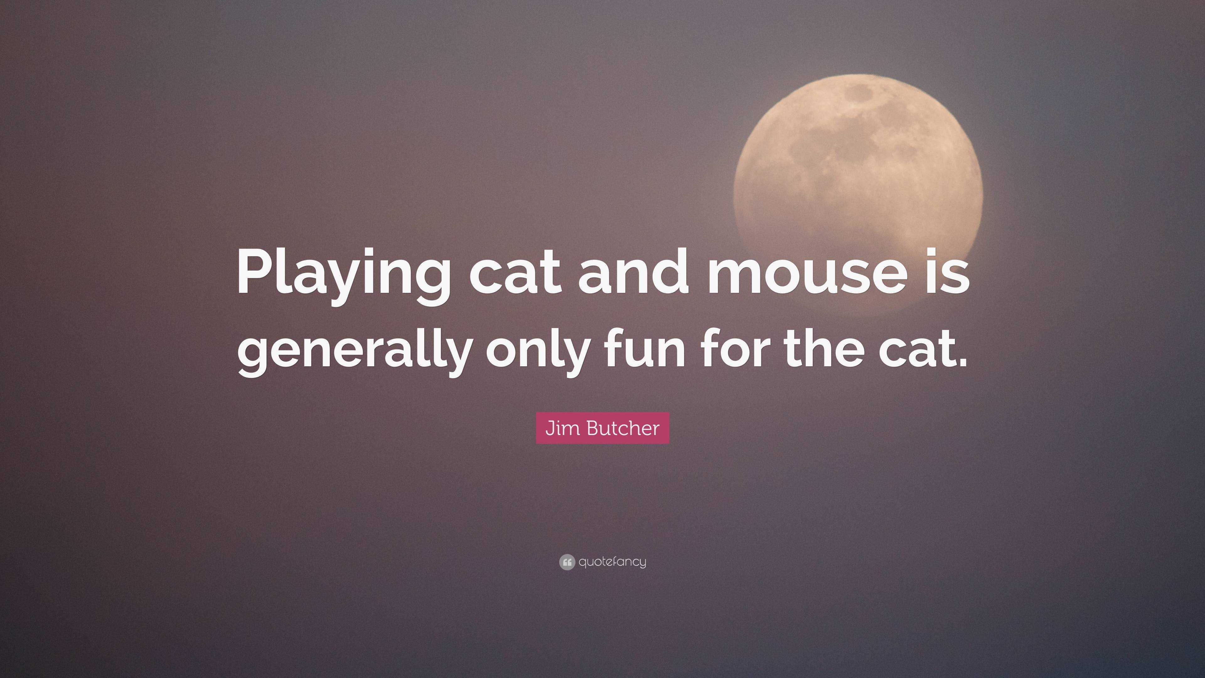 Jim Butcher Quote Playing Cat And Mouse Is Generally Only Fun For The Cat