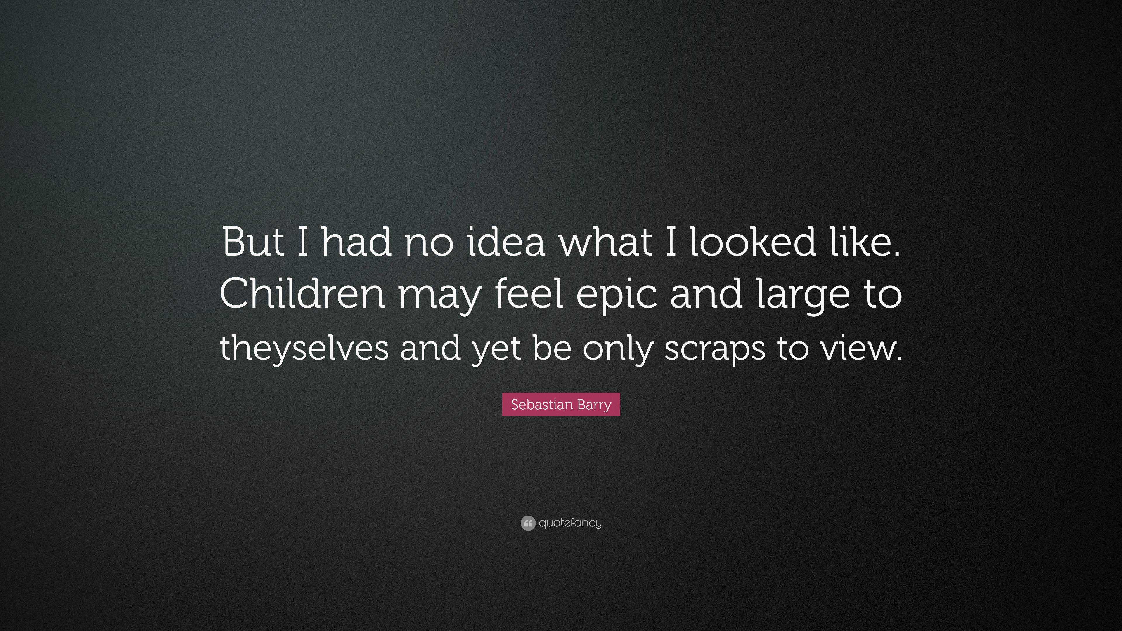 Sebastian Barry Quote: “But I had no idea what I looked like. Children ...