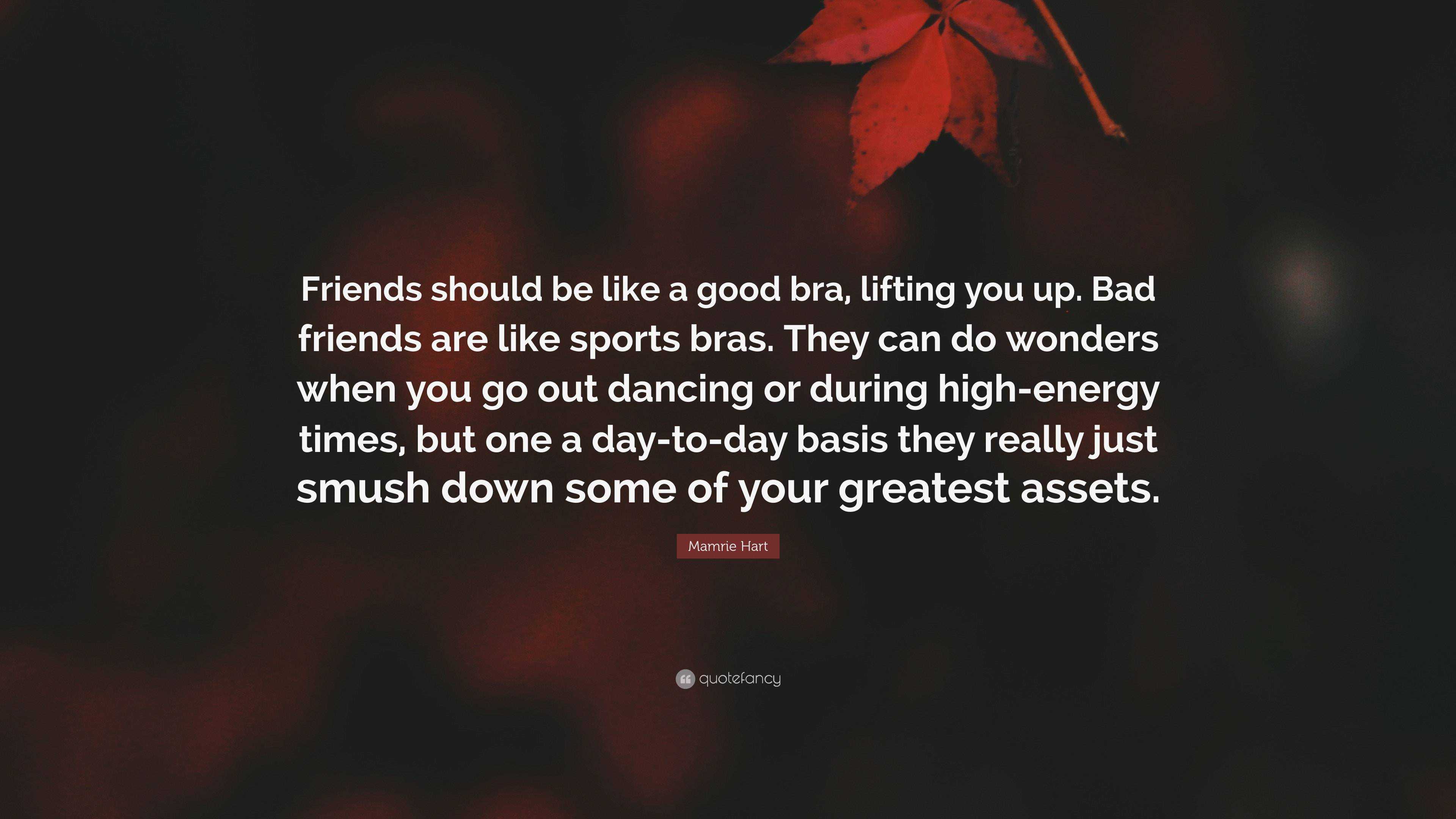 https://quotefancy.com/media/wallpaper/3840x2160/6457362-Mamrie-Hart-Quote-Friends-should-be-like-a-good-bra-lifting-you-up.jpg