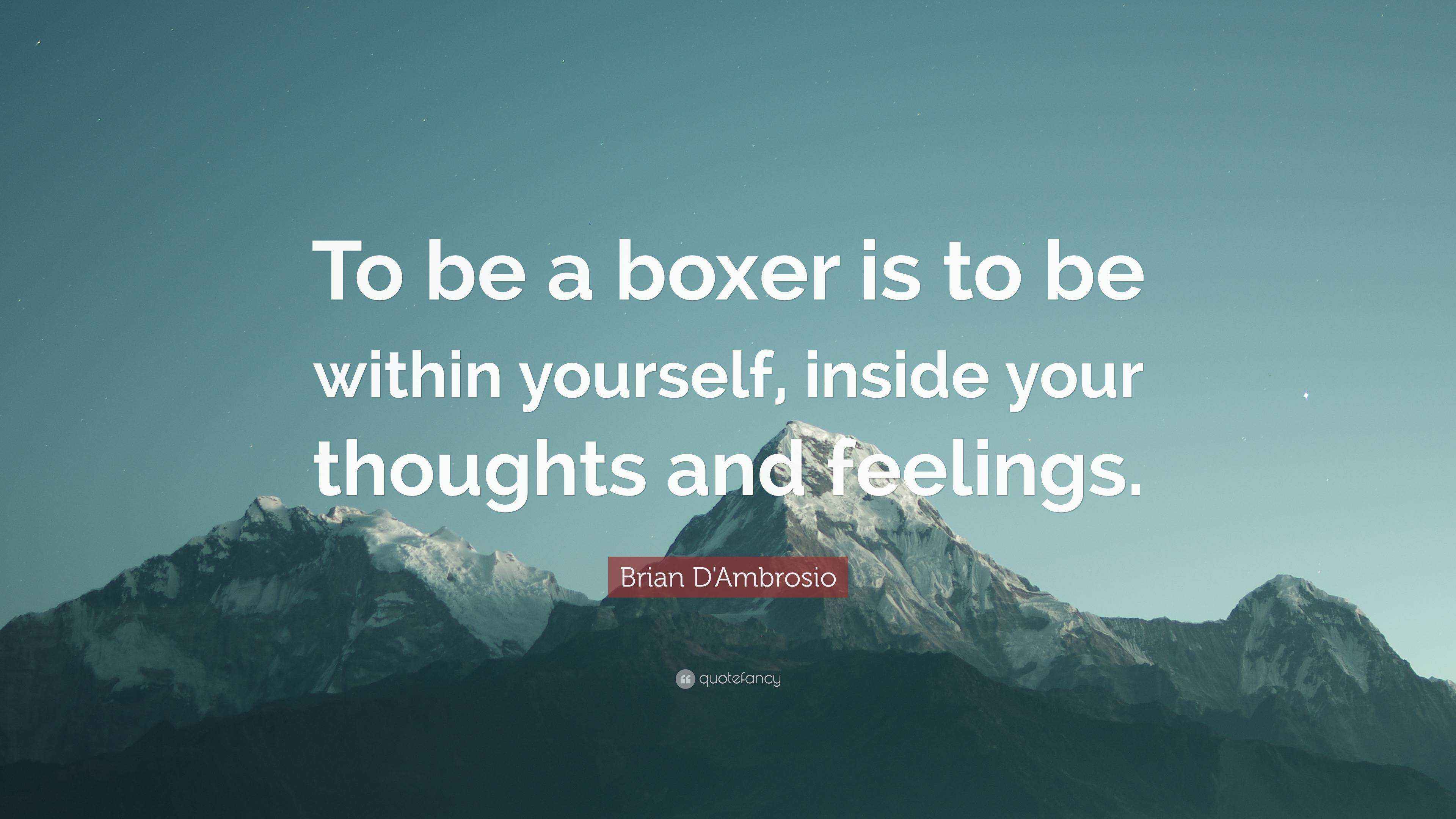 Brian D'Ambrosio Quote “To be a boxer is to be within yourself, inside