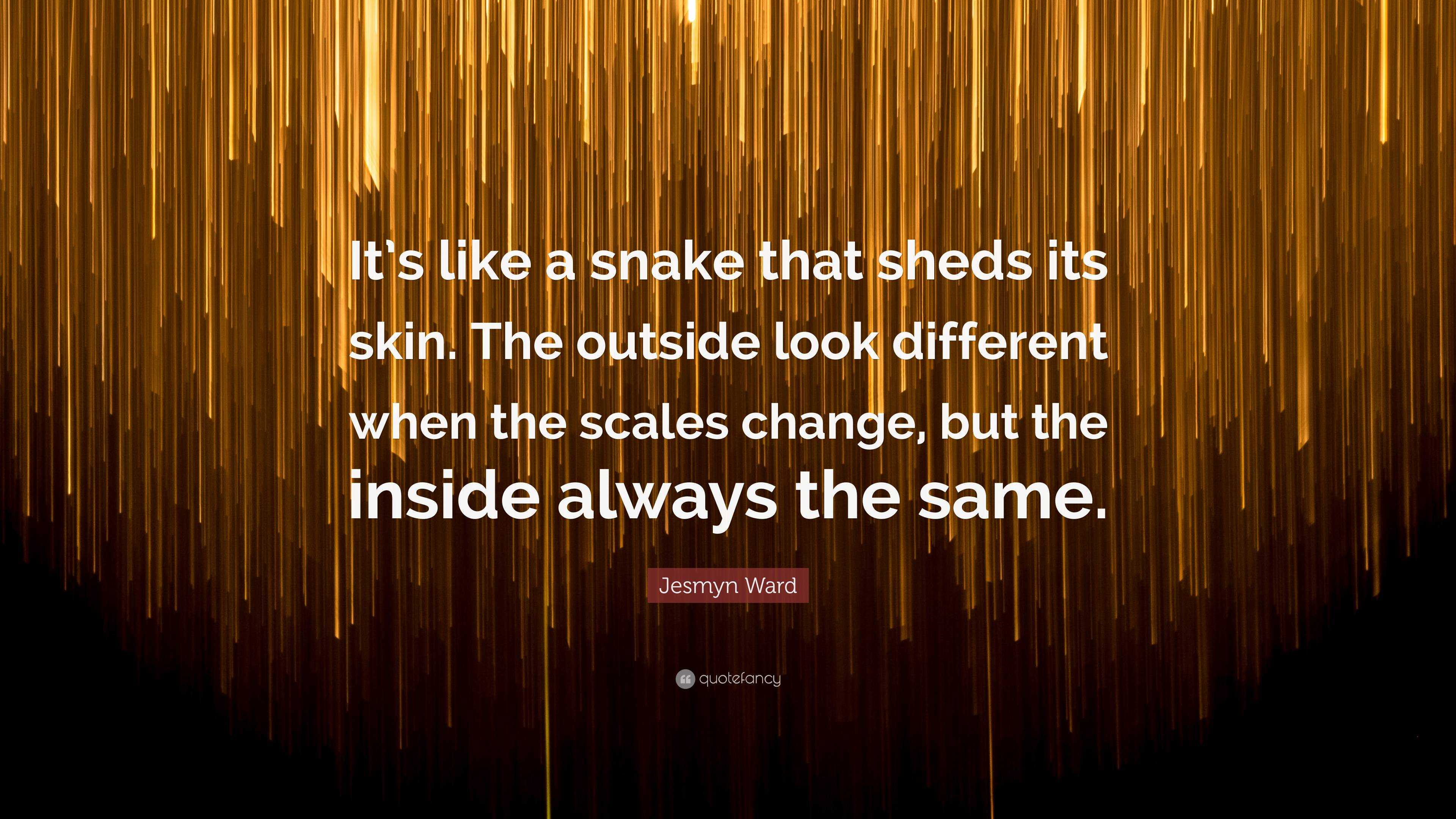 Jesmyn Ward Quote “It’s like a snake that sheds its skin. The outside look different when the