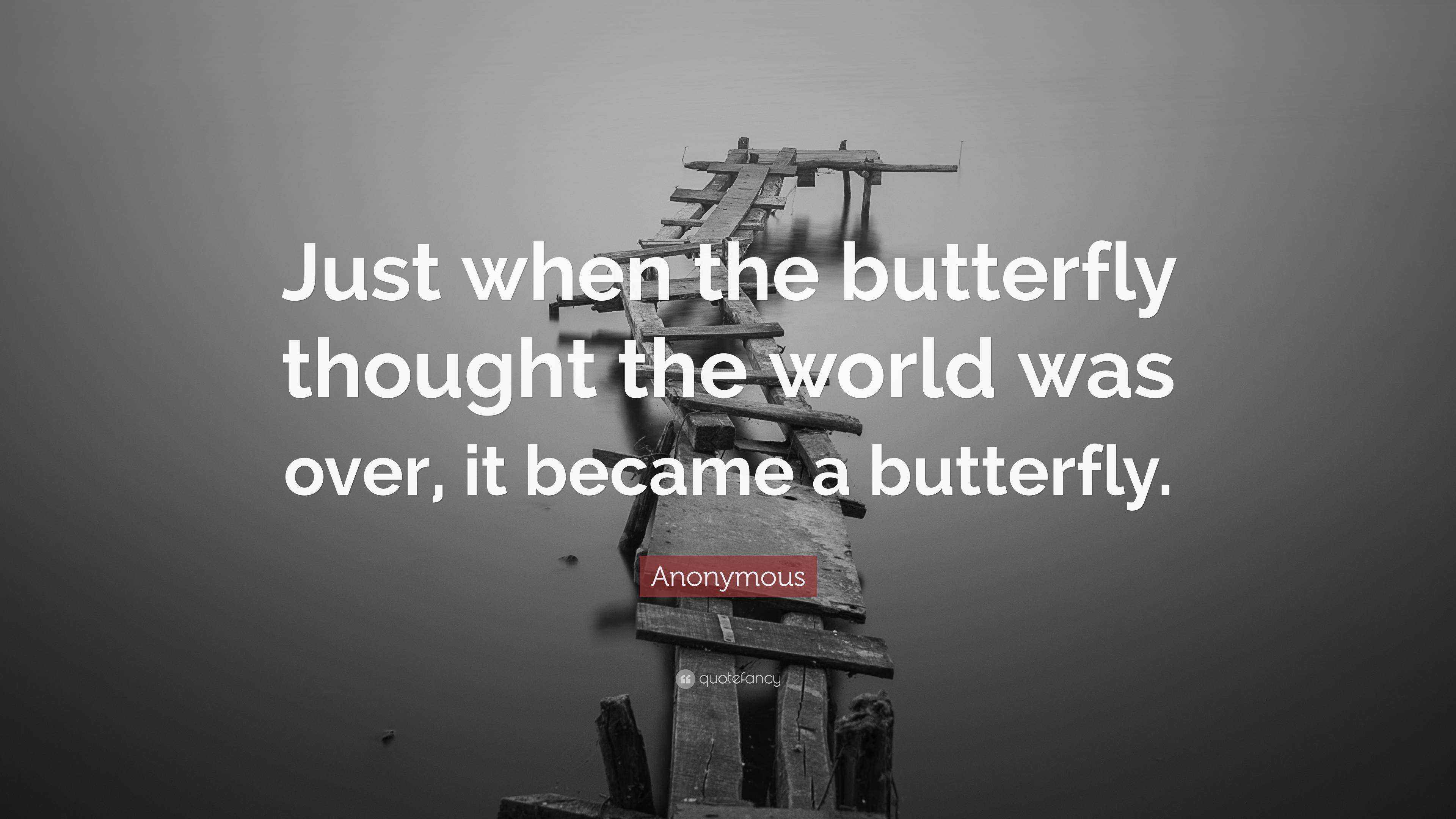 Anonymous Quote “Just when the butterfly thought the world was over