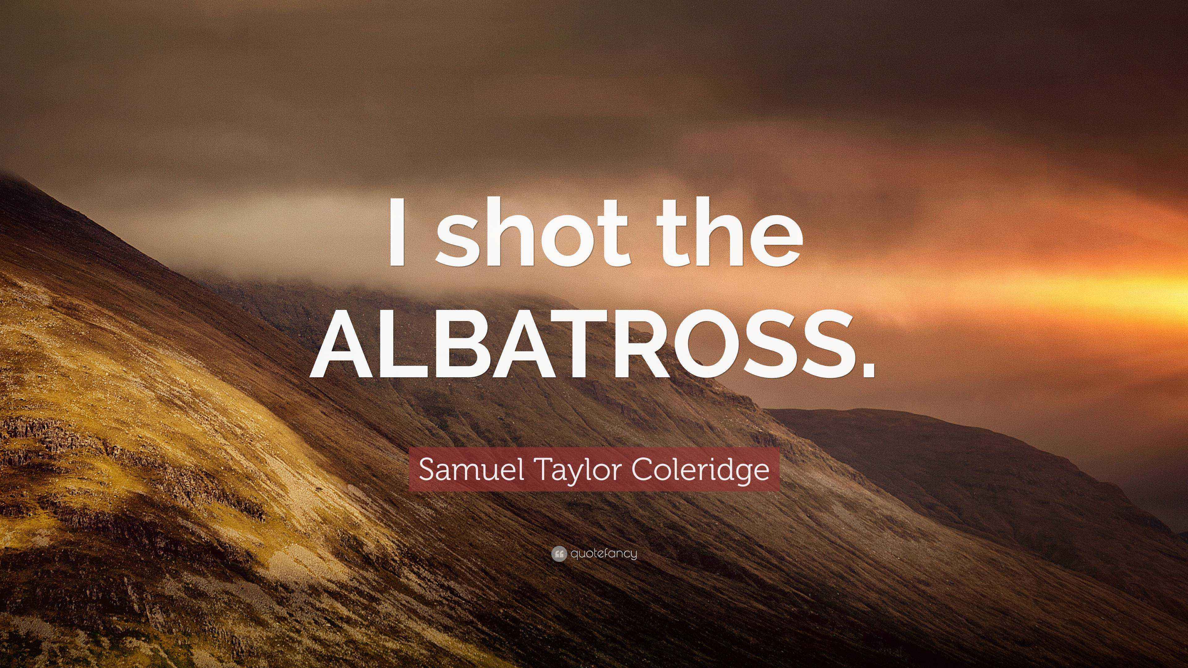 Samuel Taylor Coleridge Quote “I shot the ALBATROSS.”