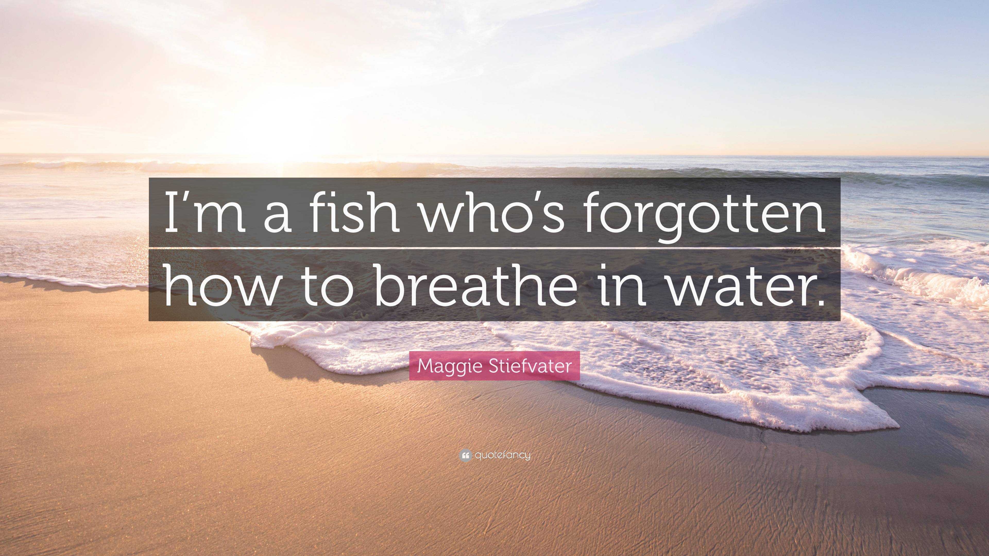 Maggie Stiefvater Quote: “I’m a fish who’s forgotten how to breathe in ...