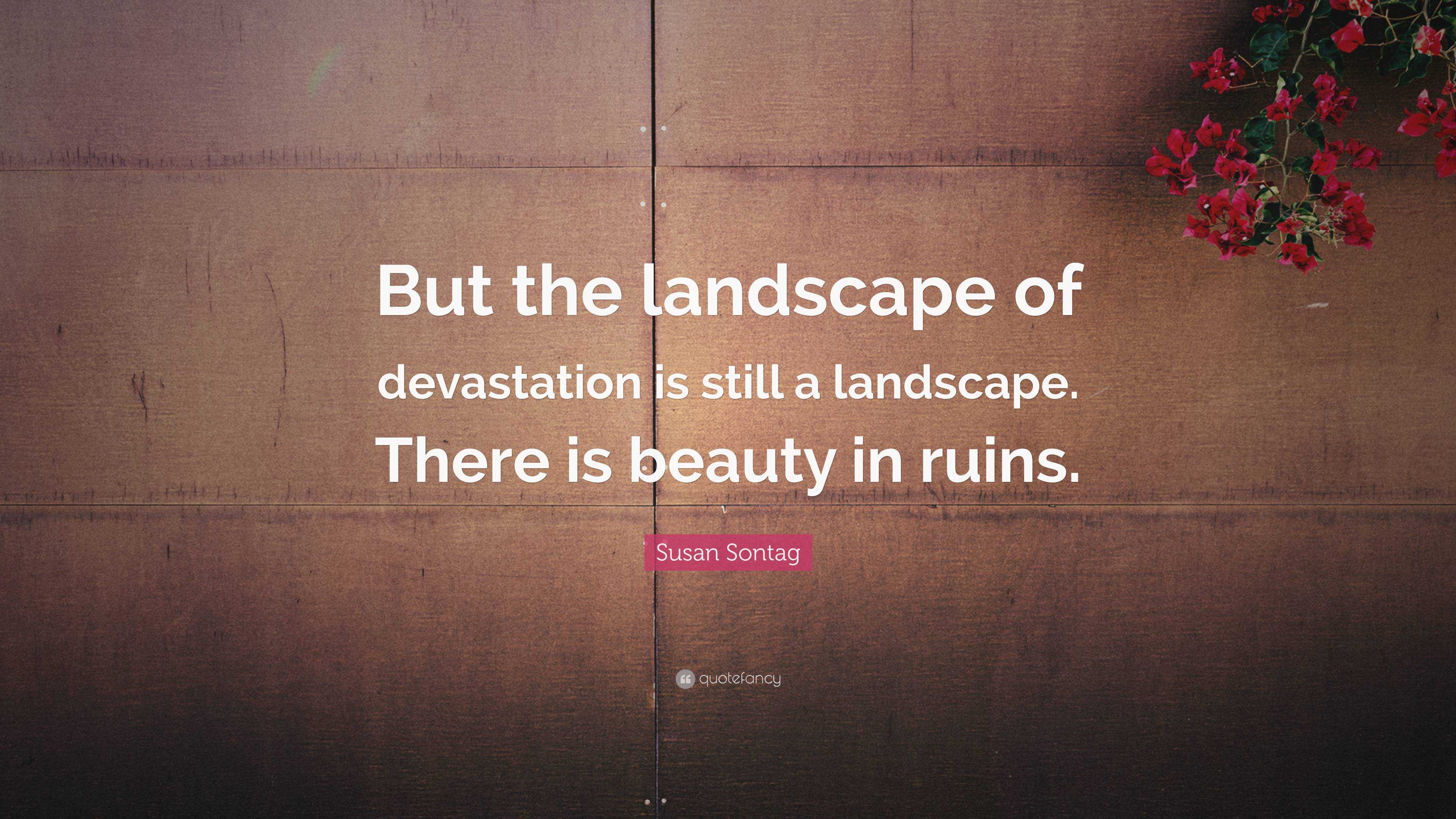 Susan Sontag Quote “But the landscape of devastation is still a