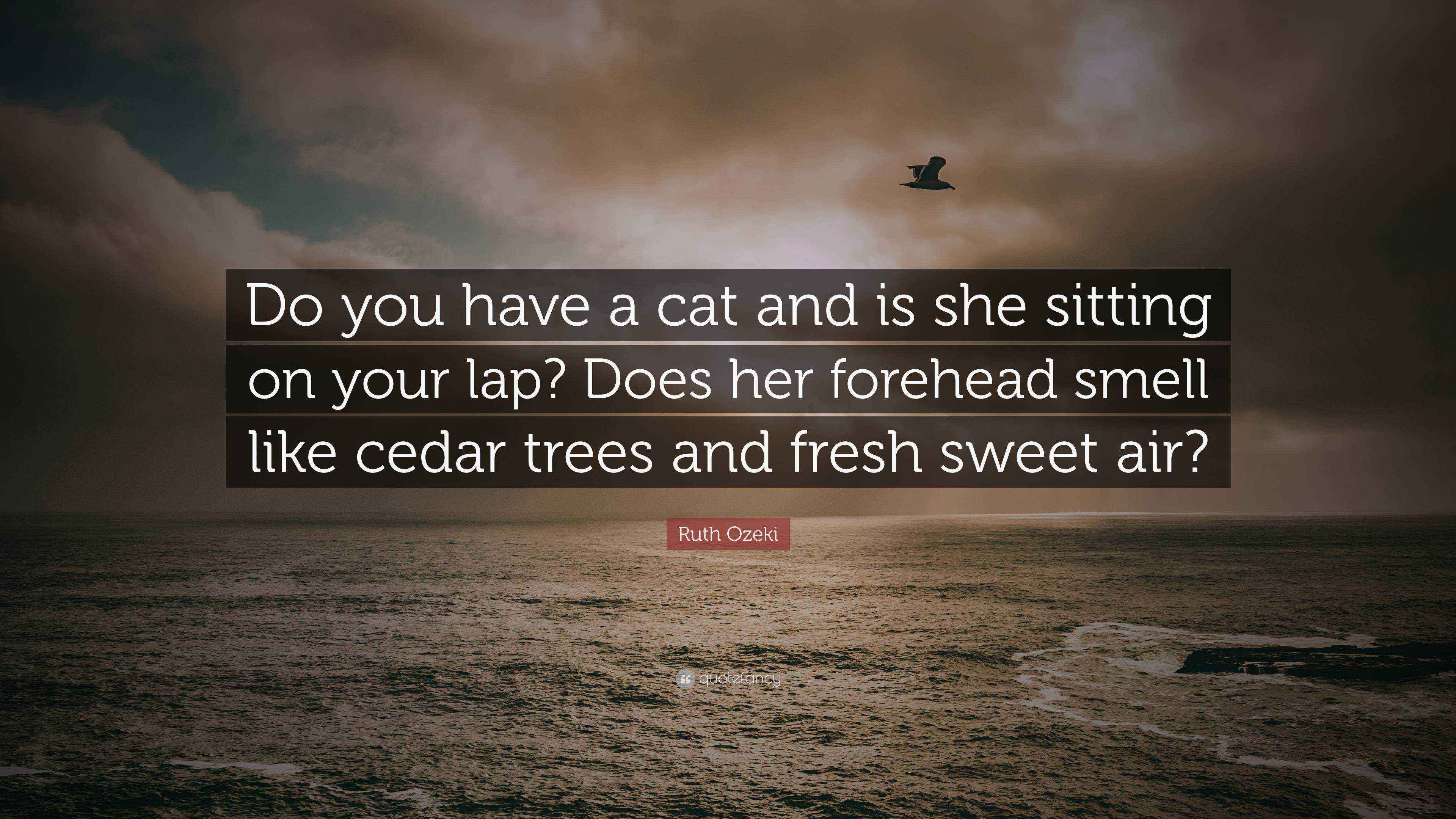 Ruth Ozeki Quote: “Do you have a cat and is she sitting on your lap ...