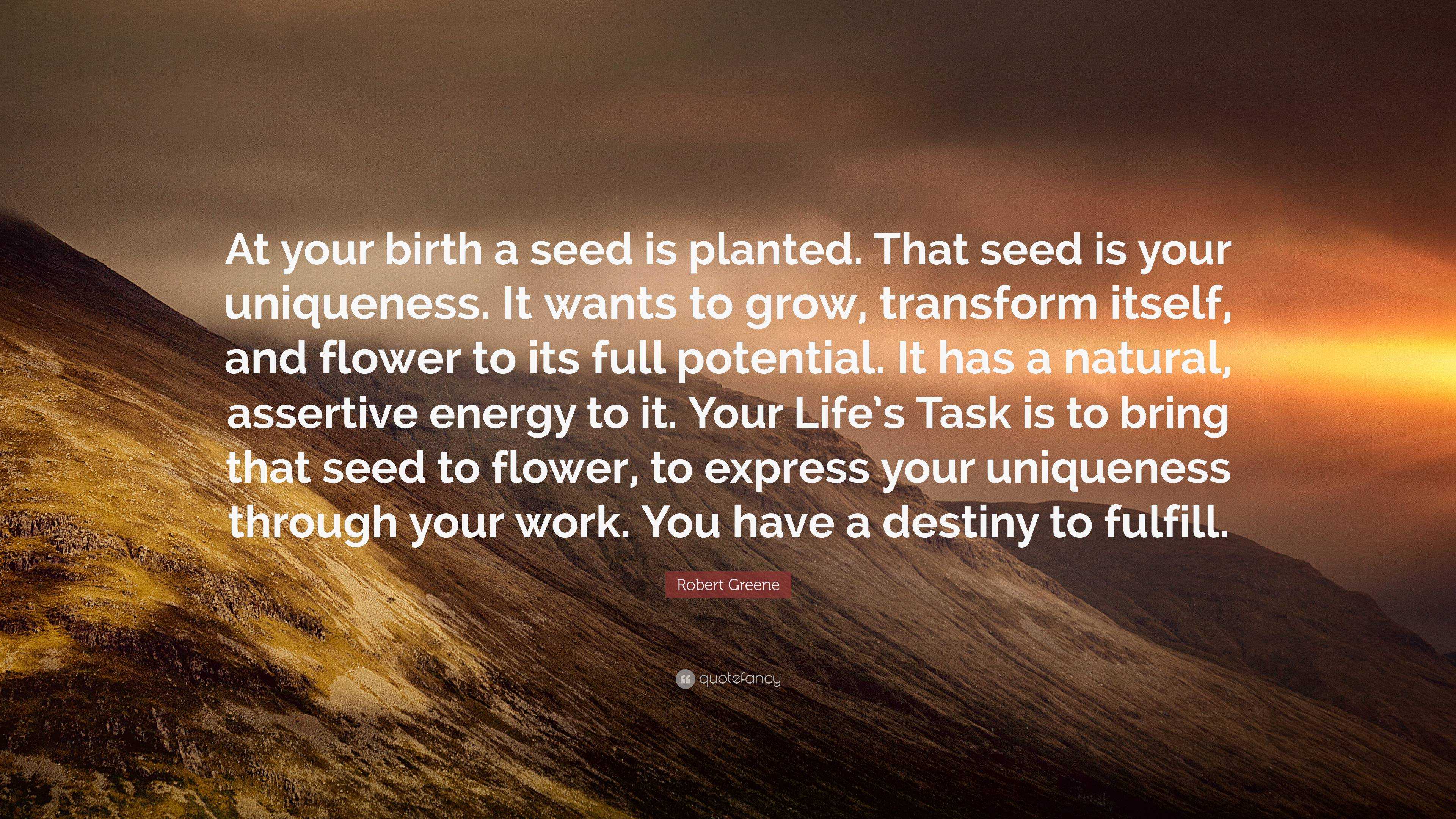 Robert Greene Quote: “at Your Birth A Seed Is Planted. That Seed Is 