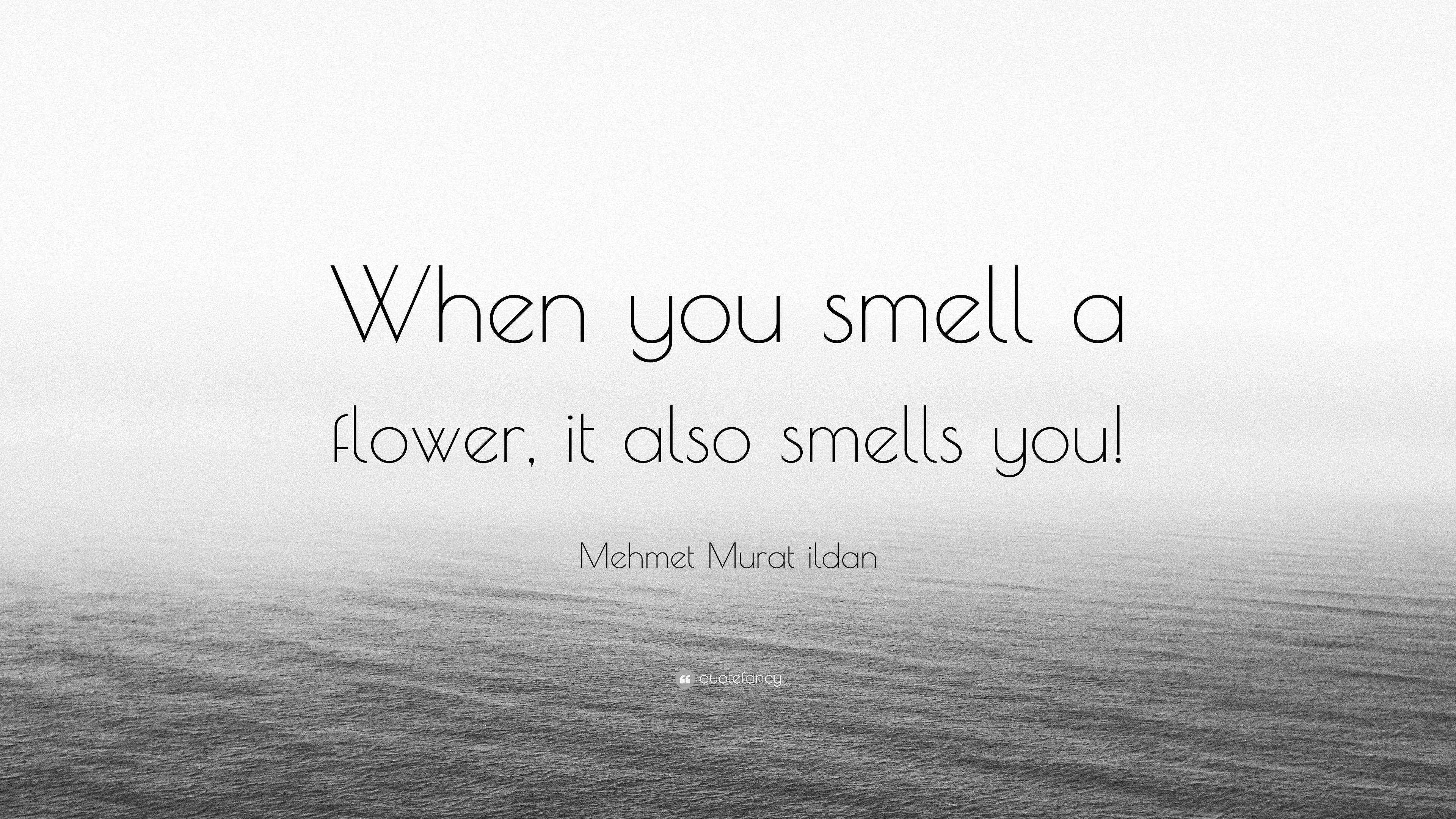 Mehmet Murat ildan Quote “When you smell a flower, it also smells you!”