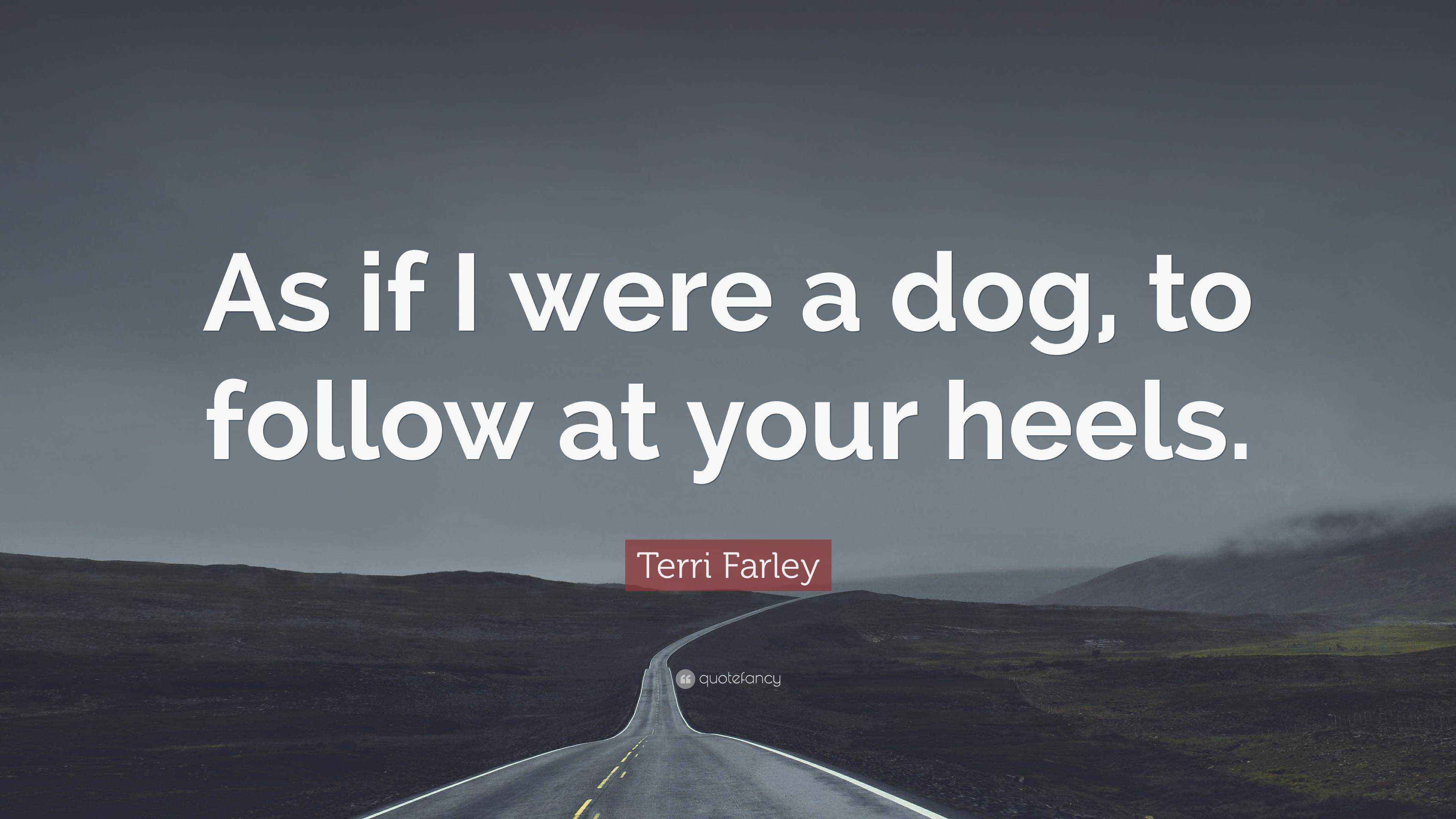 Terri Farley Quote “As if I were a dog, to follow at your heels.”