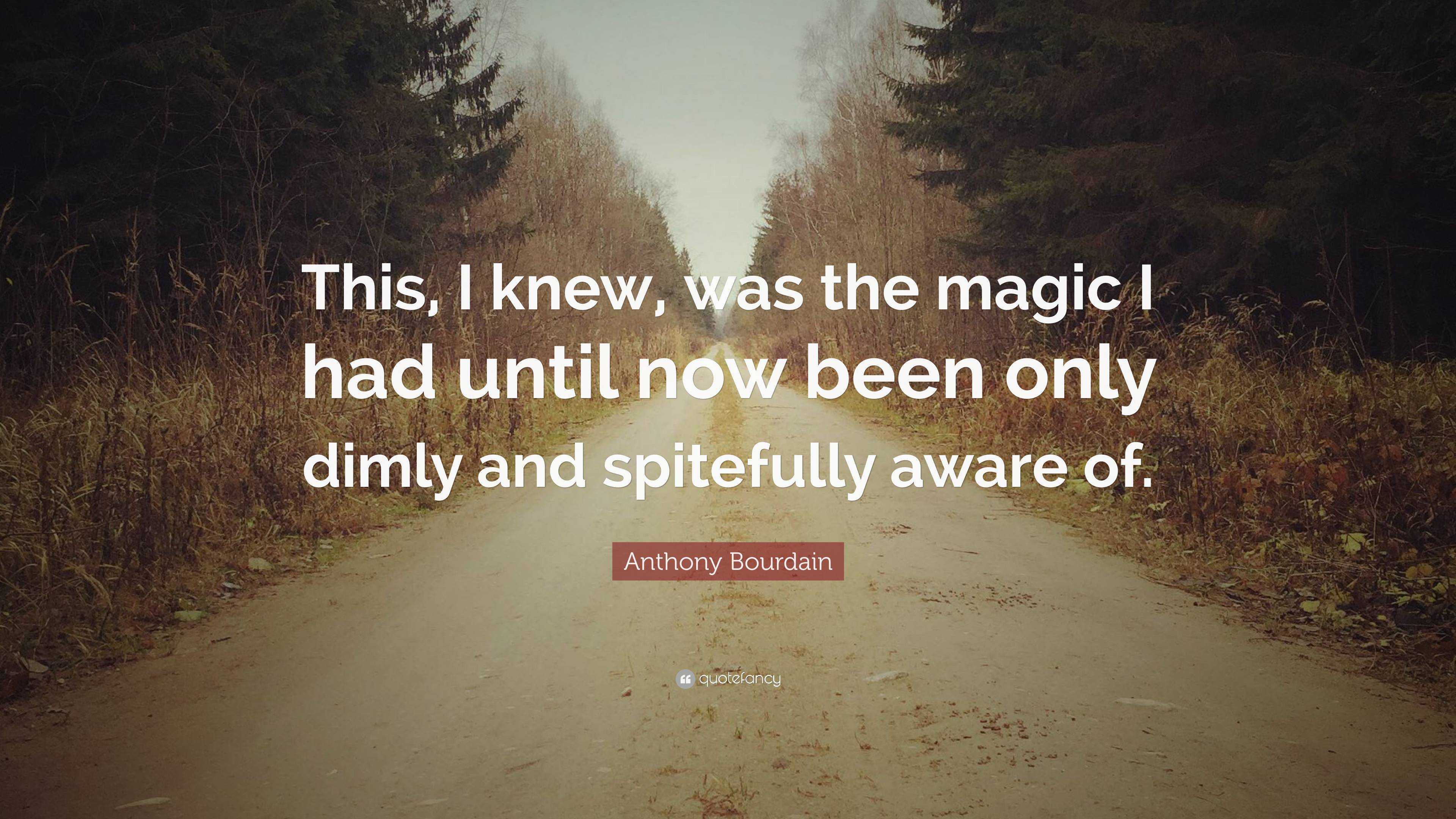 Anthony Bourdain Quote: “This, I knew, was the magic I had until now ...