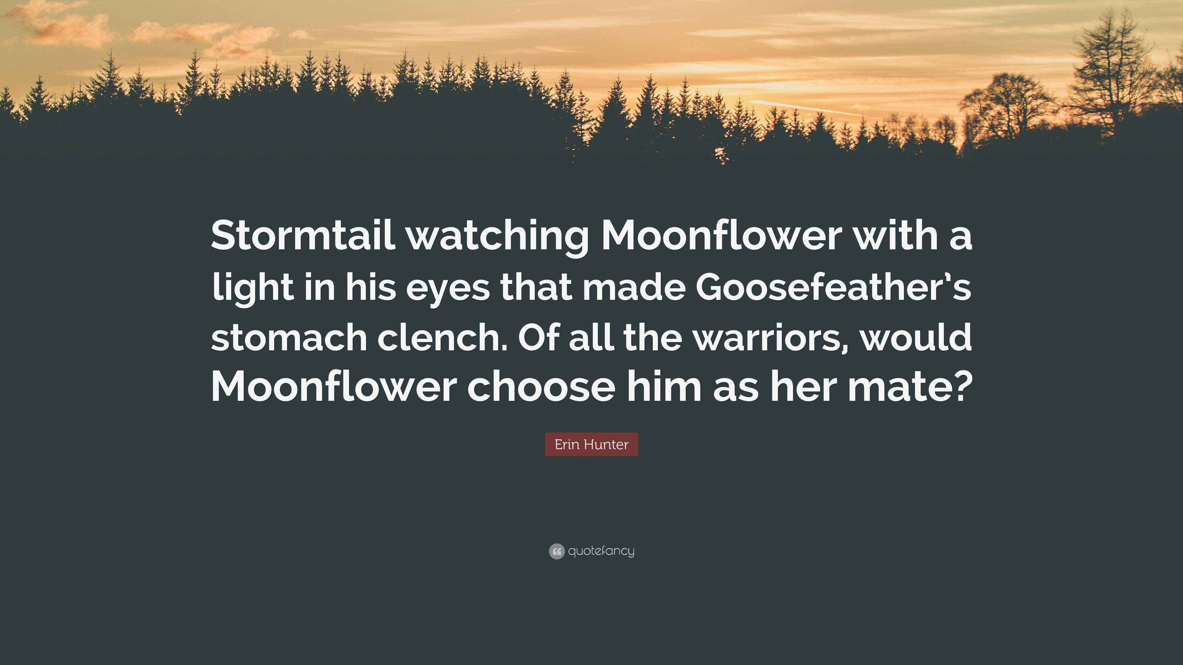 Erin Hunter Quote “Stormtail watching Moonflower with a light in his