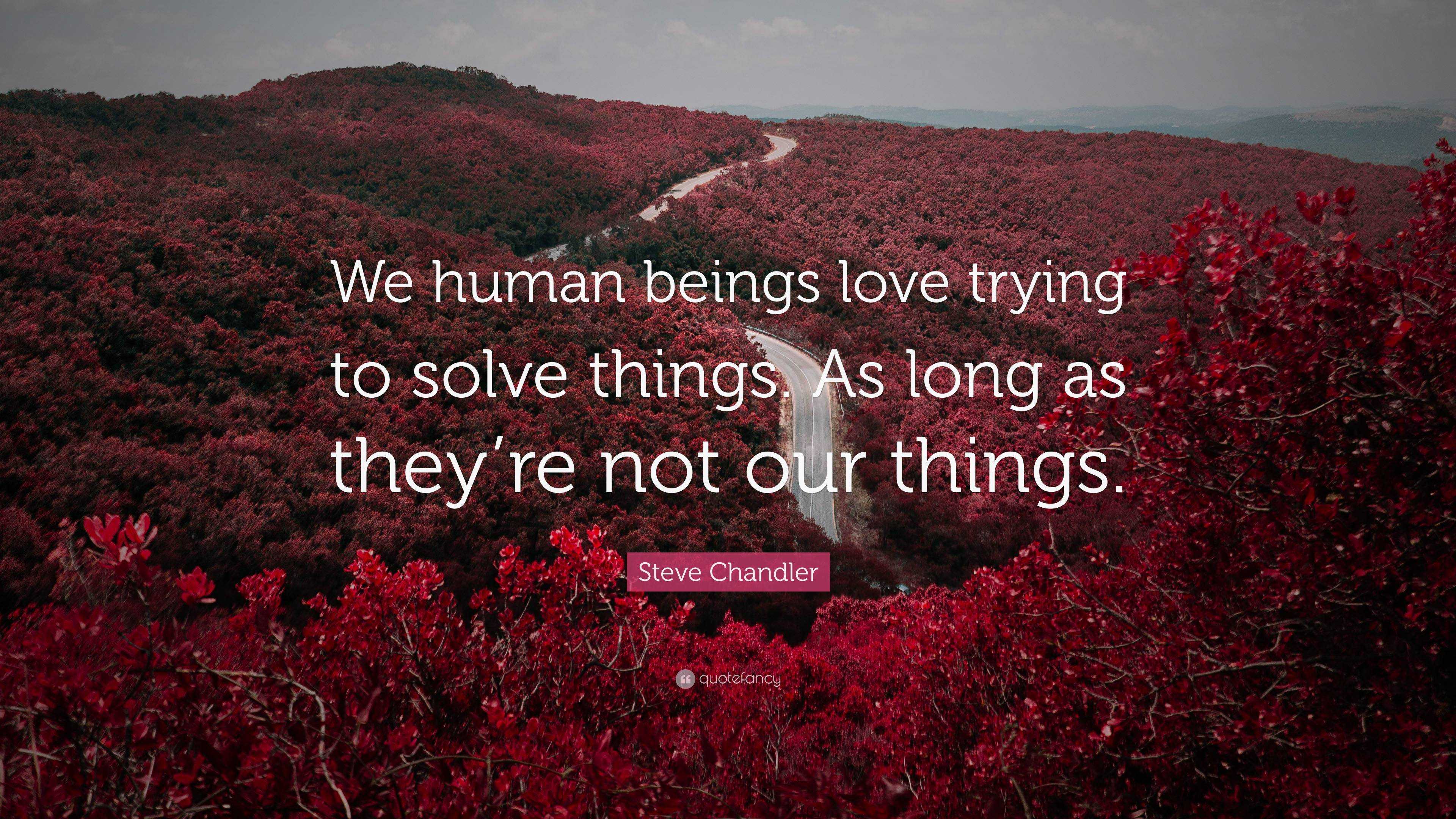 Steve Chandler Quote: “We human beings love trying to solve things. As ...