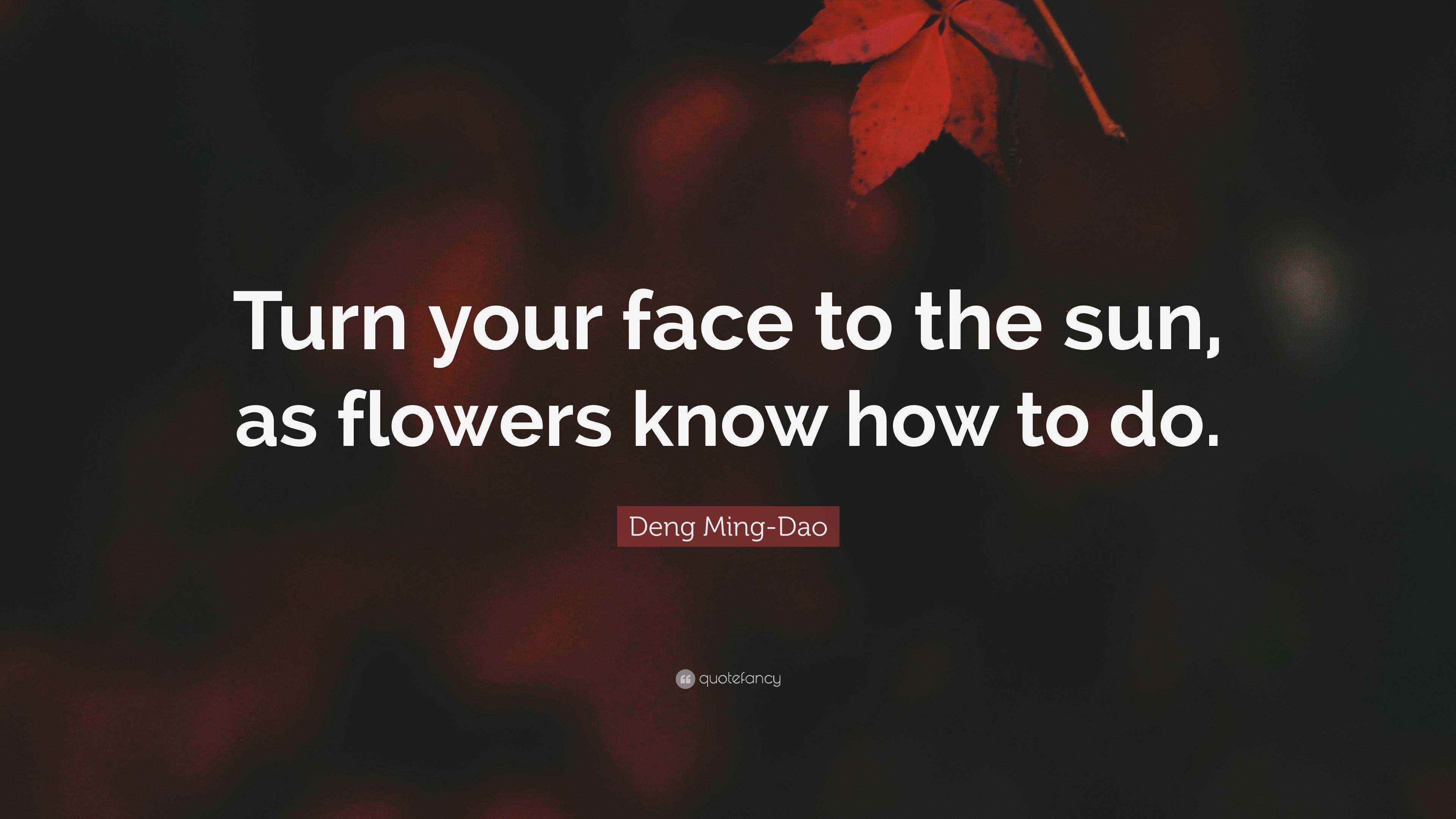 Deng MingDao Quote “Turn your face to the sun, as flowers know how to