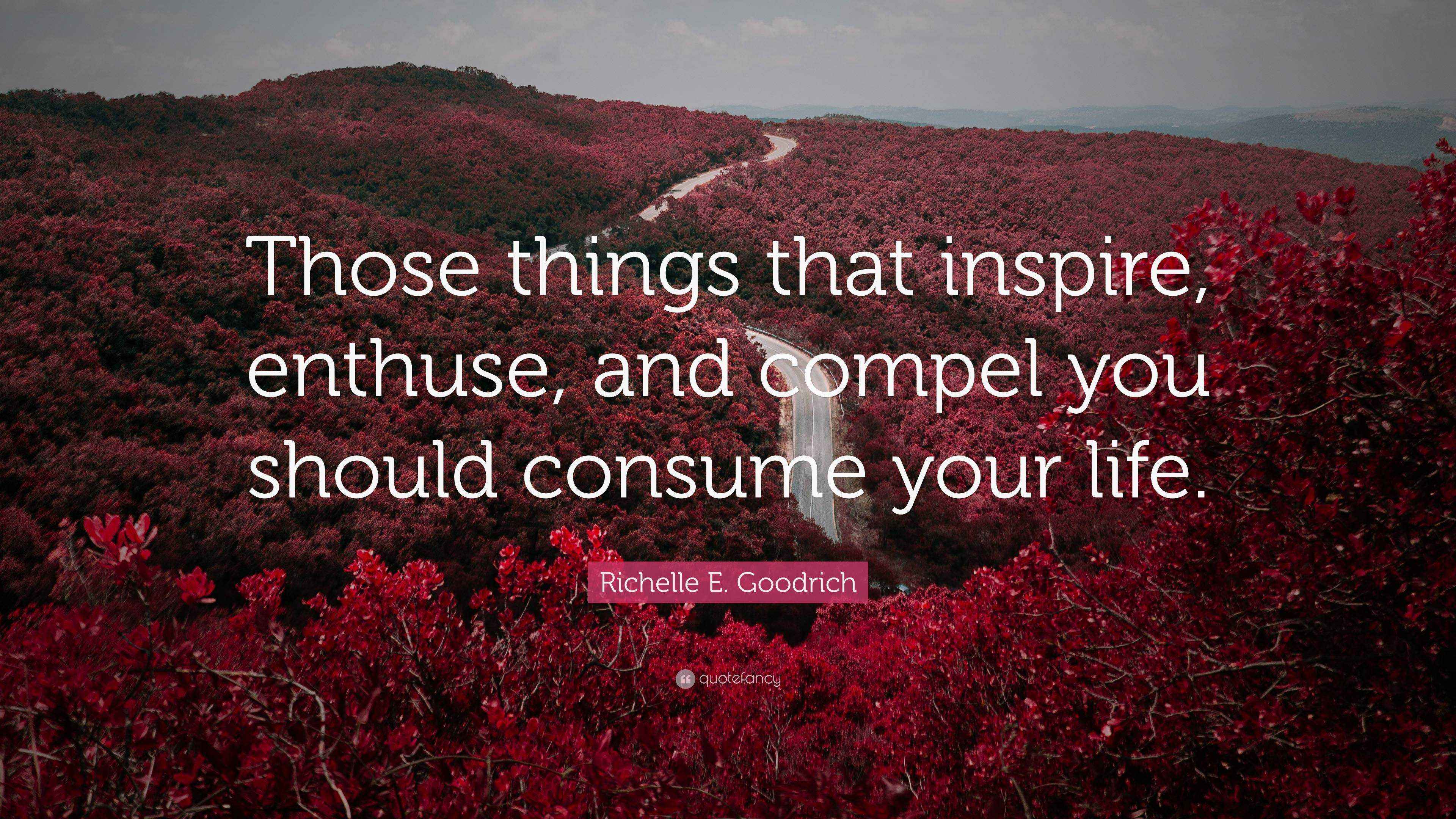 Richelle E. Goodrich Quote “Those things that inspire, enthuse, and