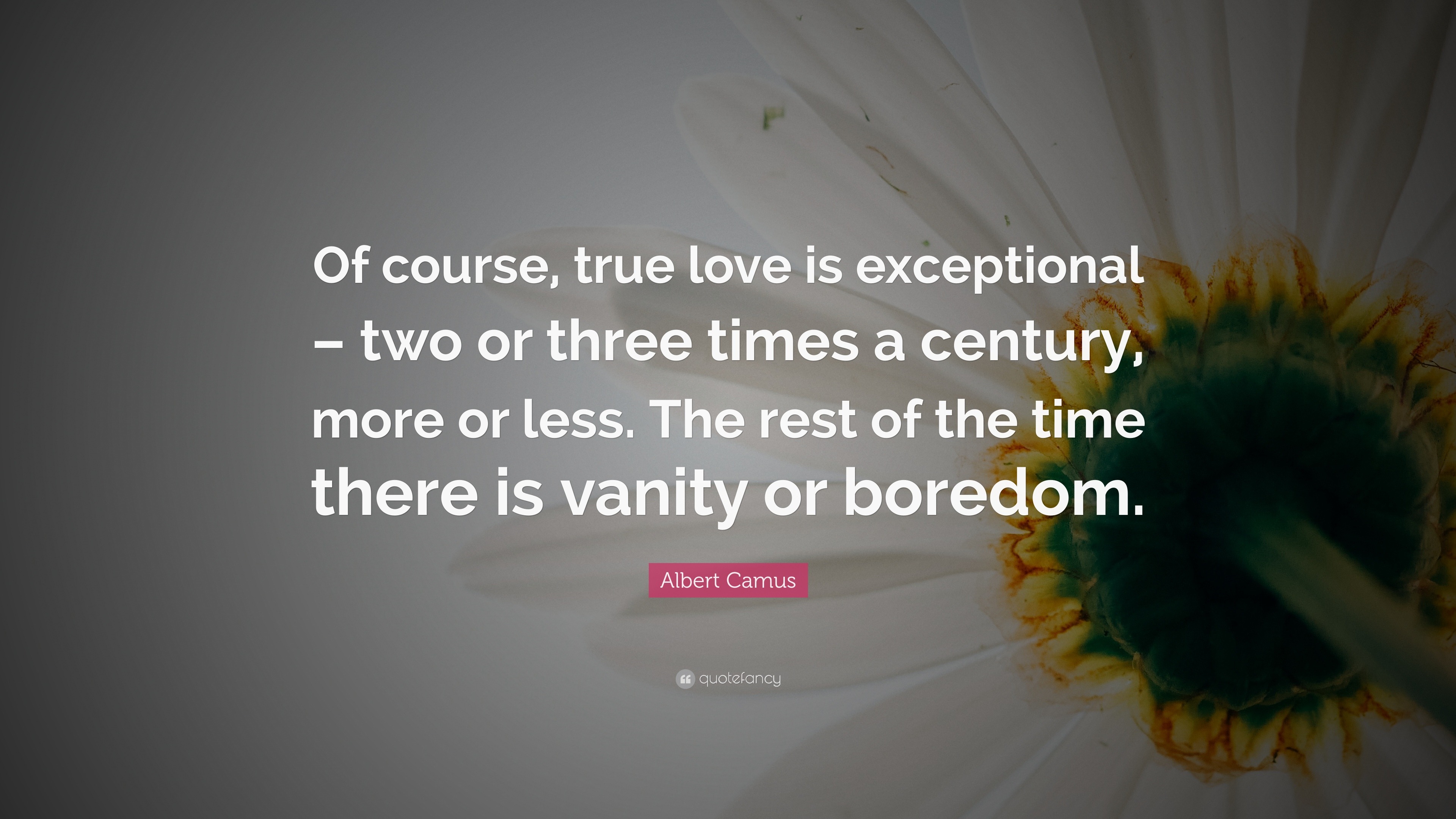 Albert Camus Quote “ course true love is exceptional – two or three