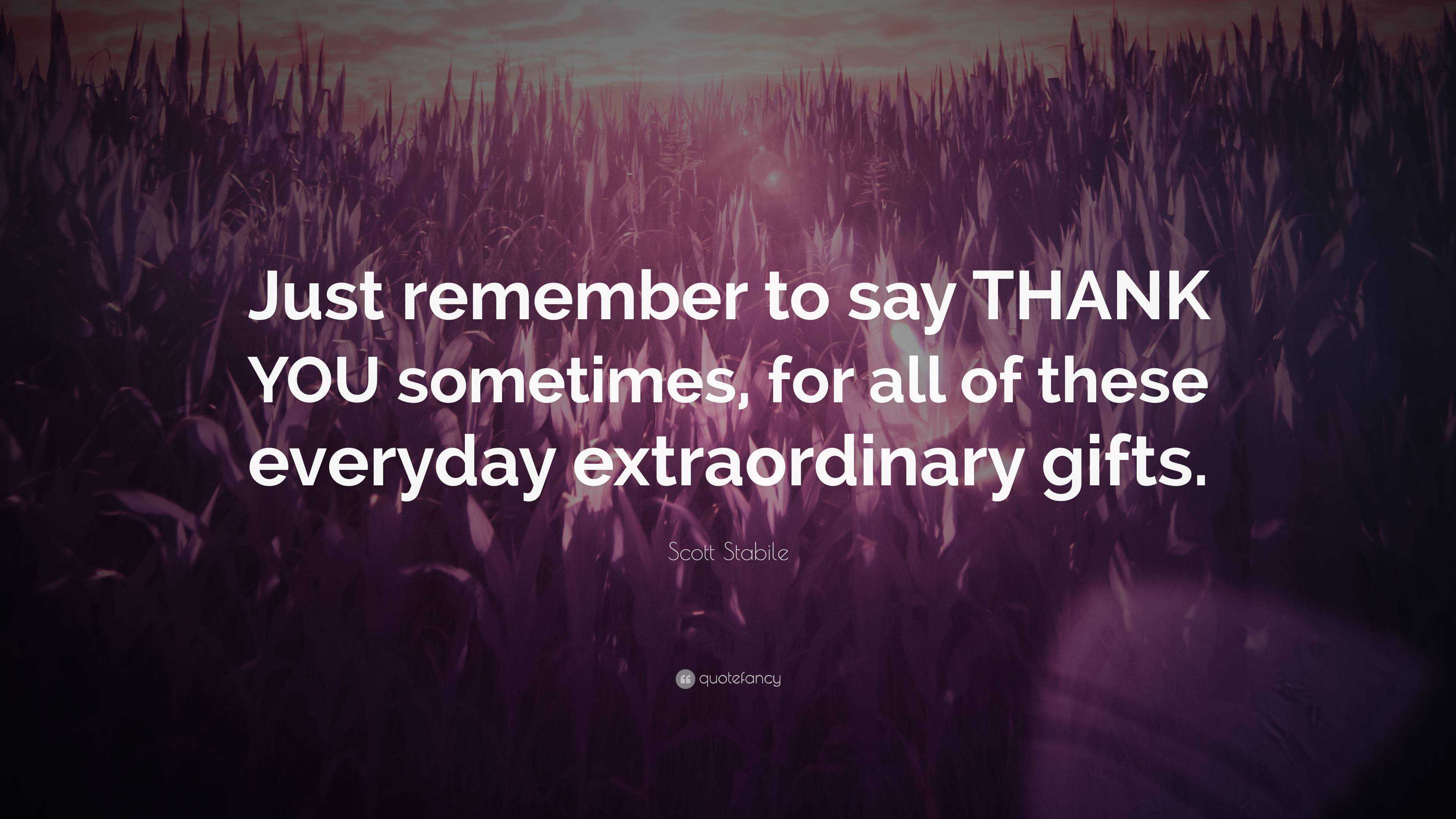 Scott Stabile Quote: “Just remember to say THANK YOU sometimes, for all ...