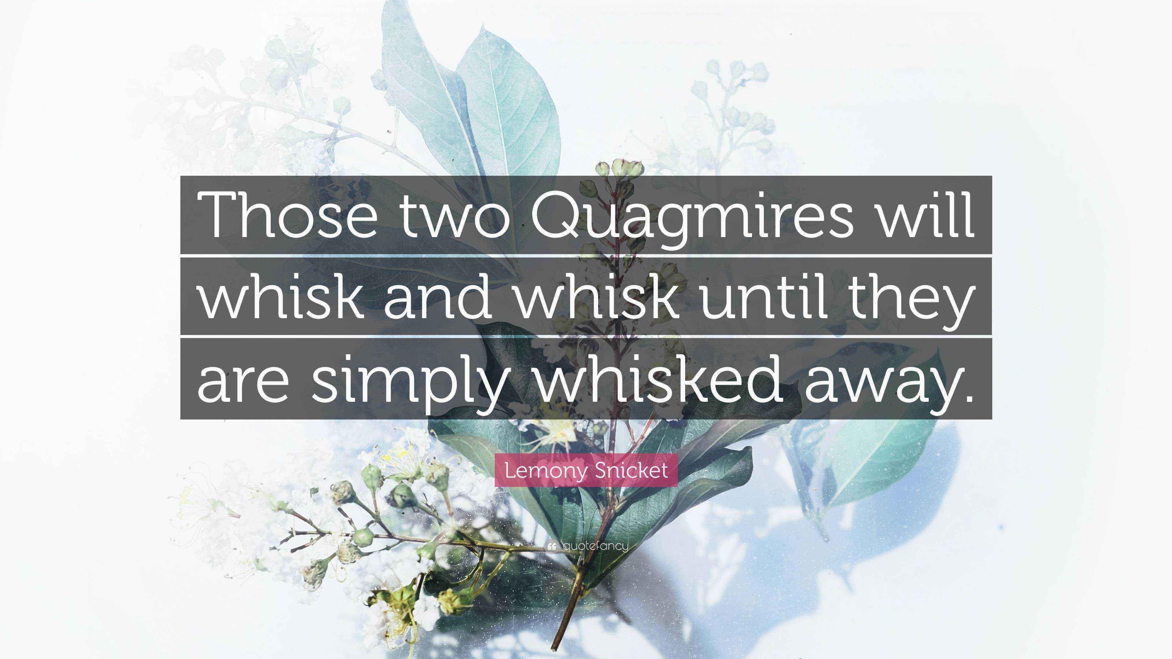 Lemony Snicket Quote “Those two Quagmires will whisk and whisk until