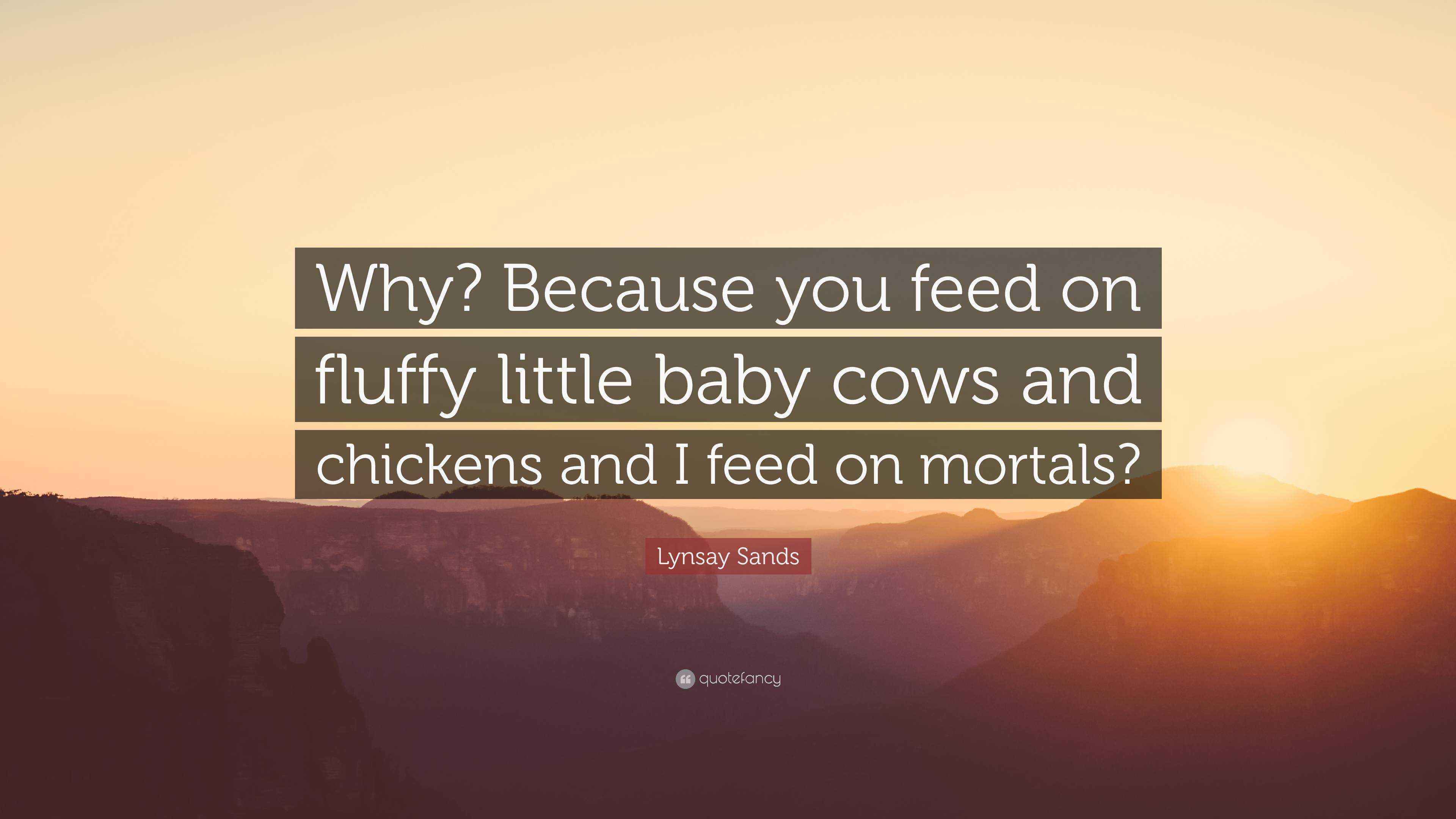 Lynsay Sands Quote “Why? Because you feed on fluffy little baby cows