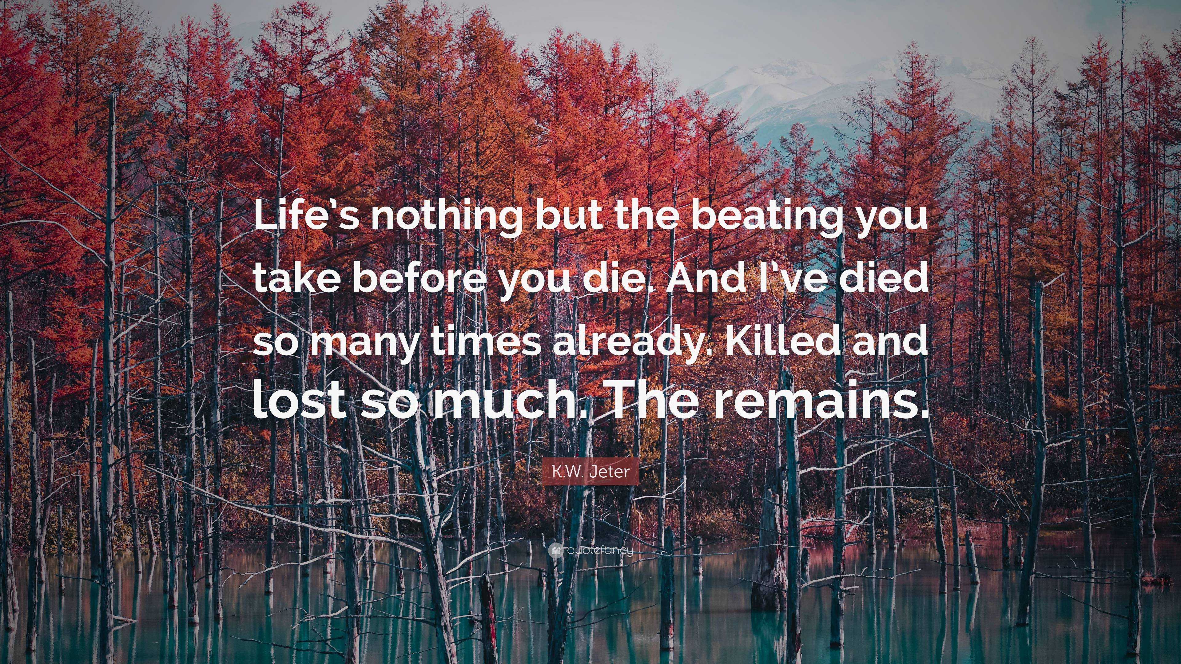 K.W. Jeter Quote: “Life’s nothing but the beating you take before you ...