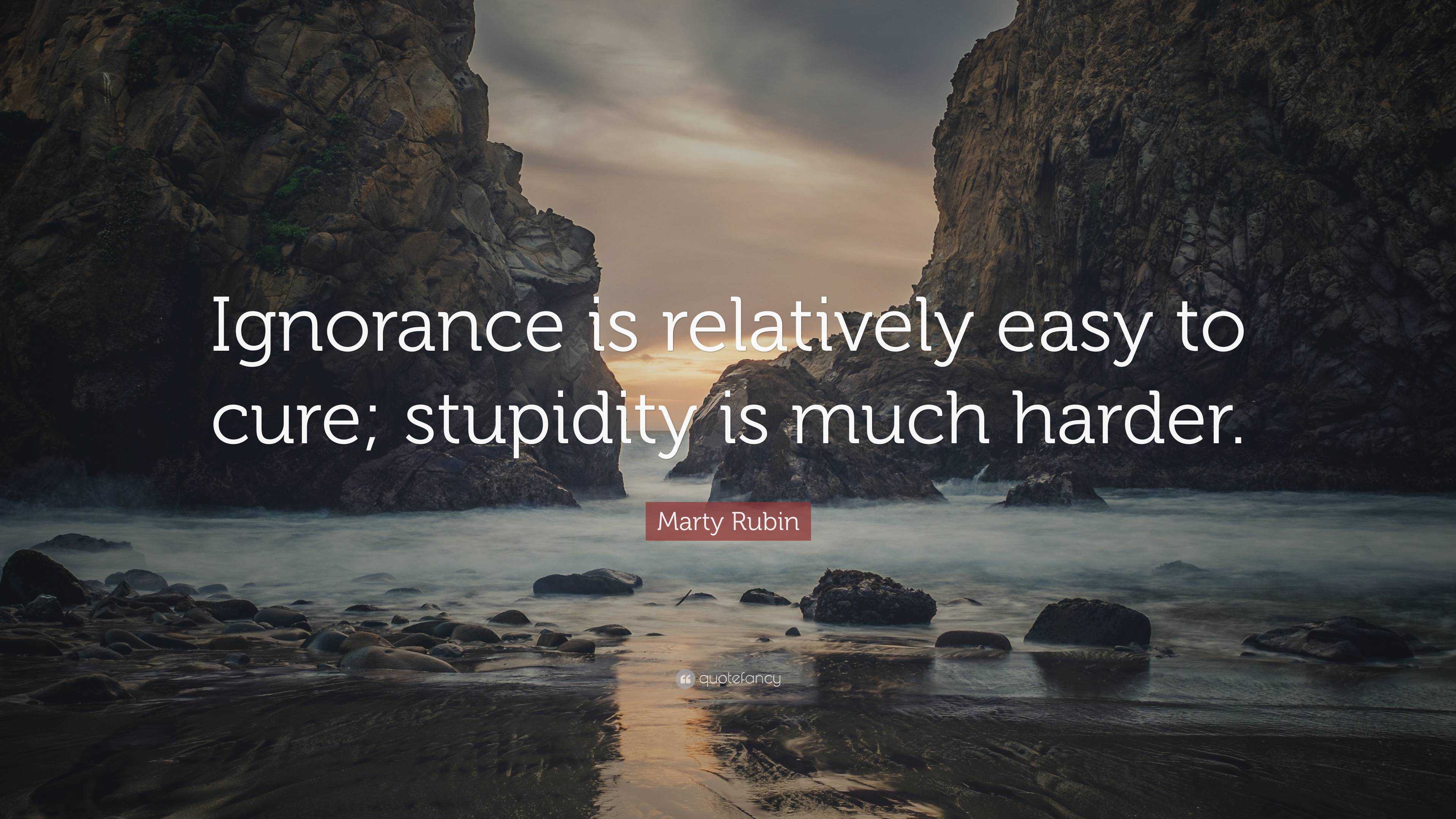 Marty Rubin Quote: “Ignorance is relatively easy to cure; stupidity is ...