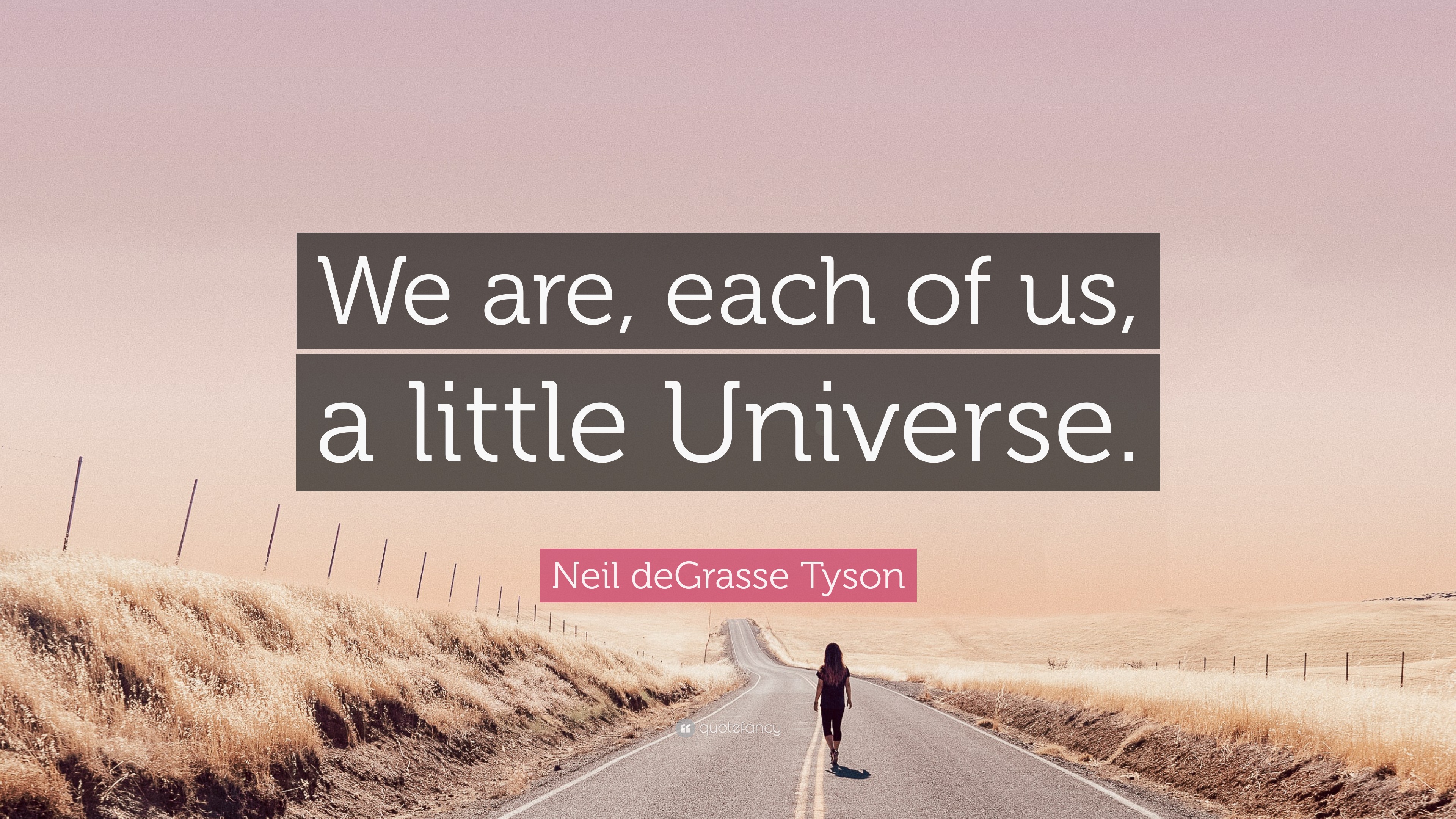 Neil Degrasse Tyson Quote “we Are Each Of Us A Little Universe” 