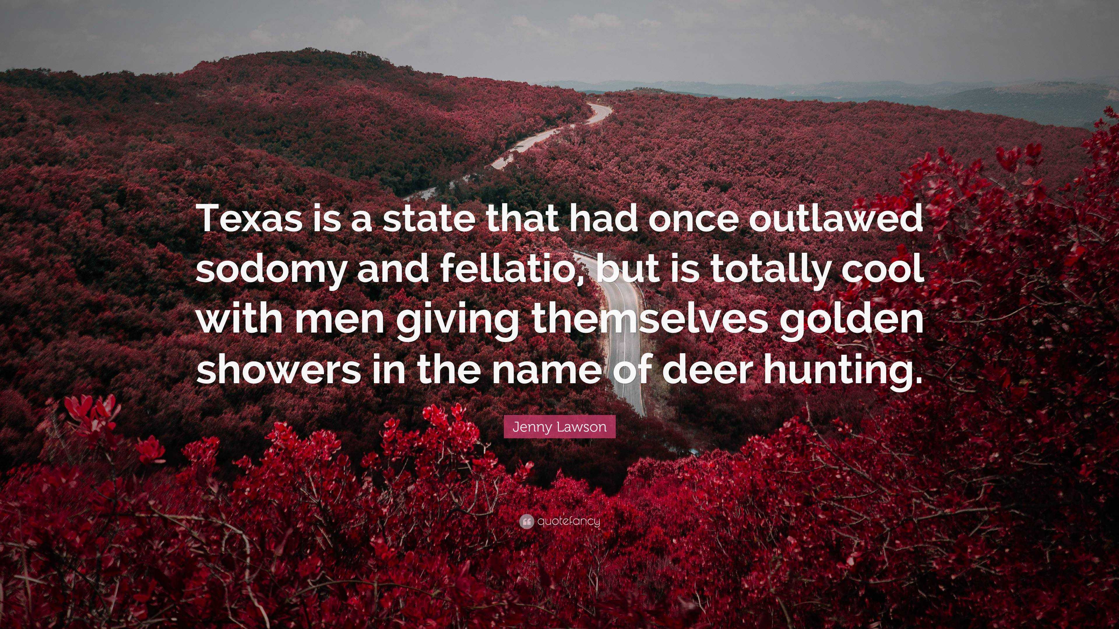 Jenny Lawson Quote: “Texas is a state that had once outlawed sodomy and  fellatio, but is totally cool with men giving themselves golden showe...”