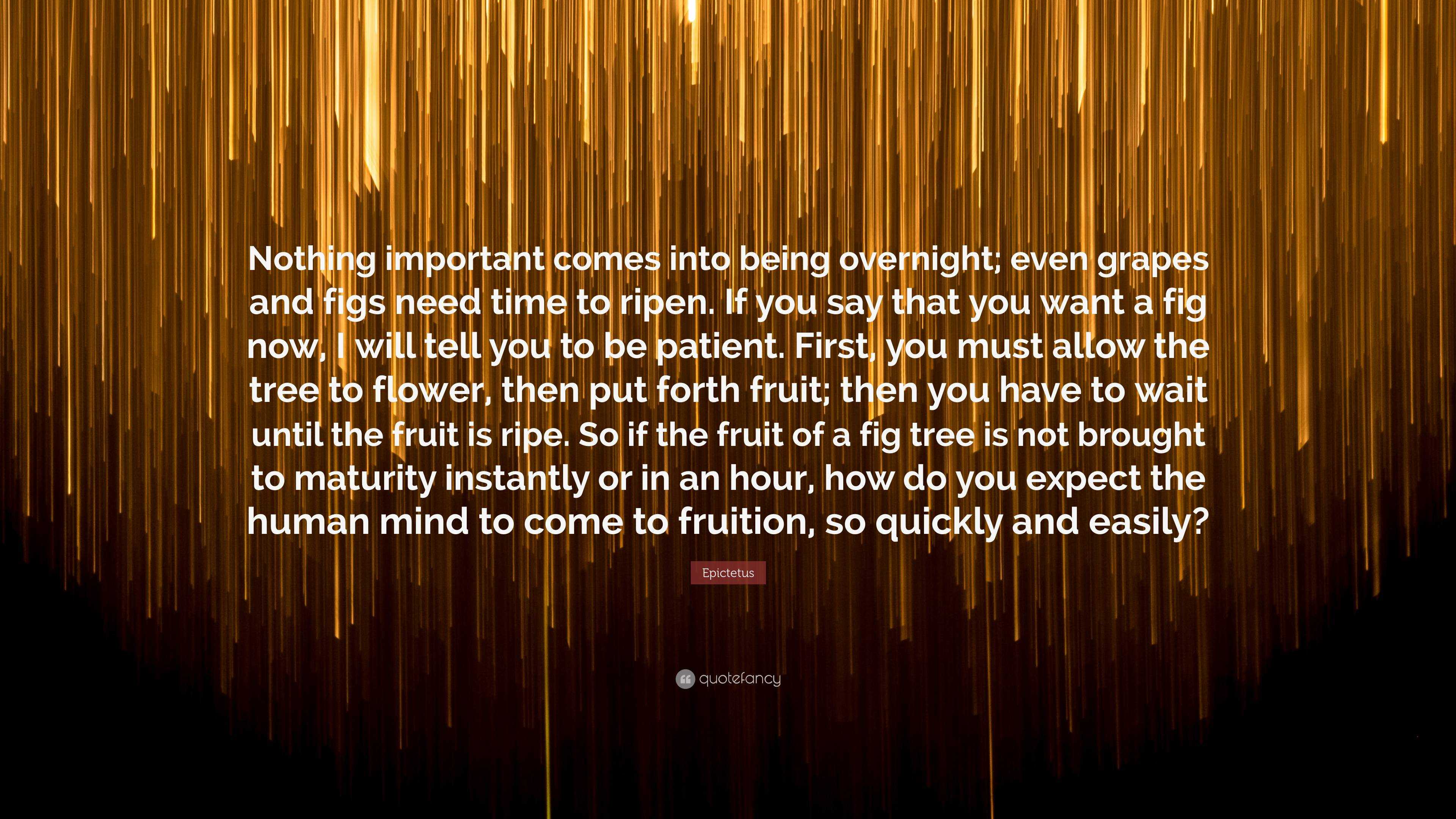 Epictetus Quote “Nothing important comes into being overnight; even