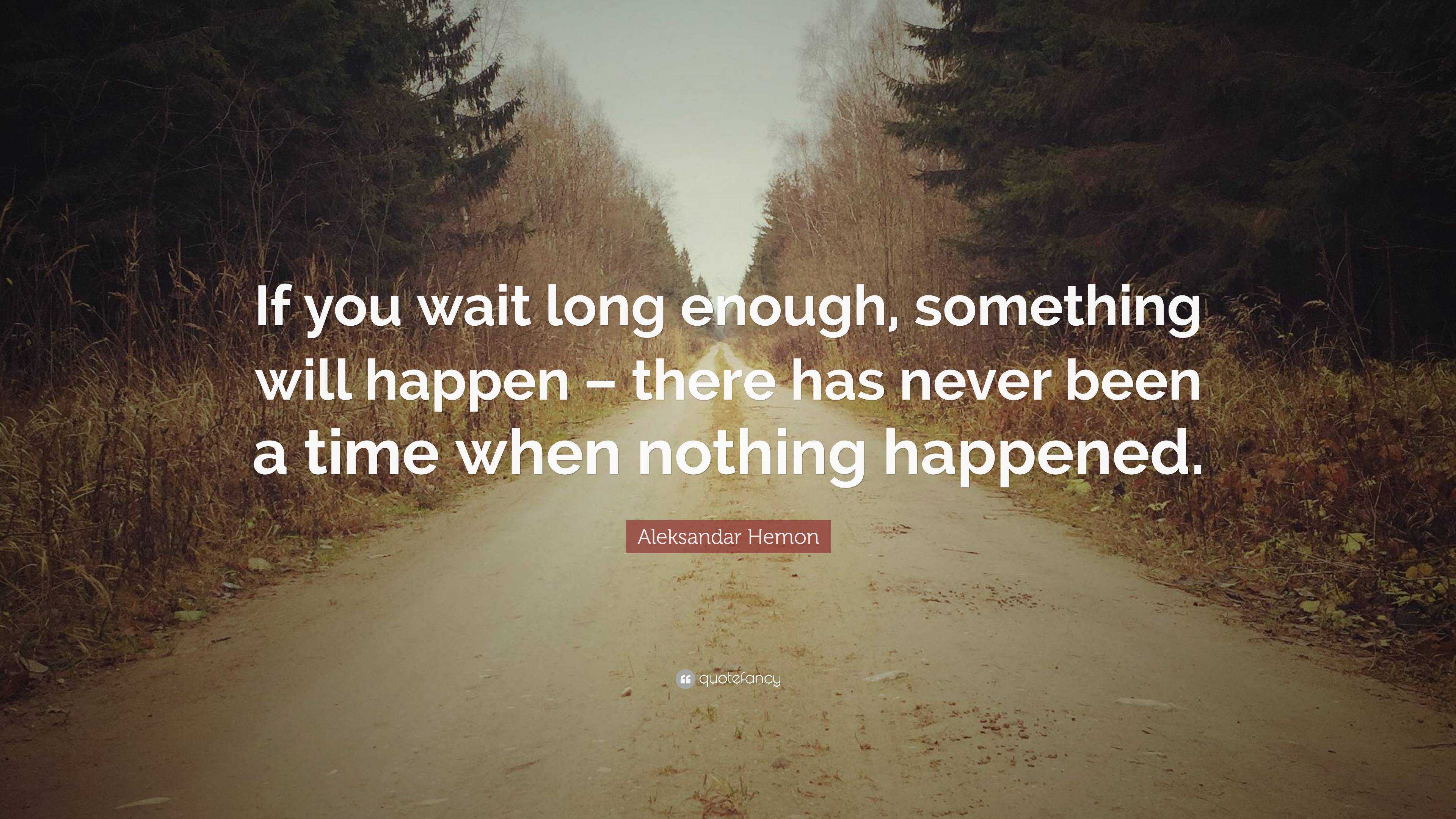 Aleksandar Hemon Quote: “If you wait long enough, something will happen ...