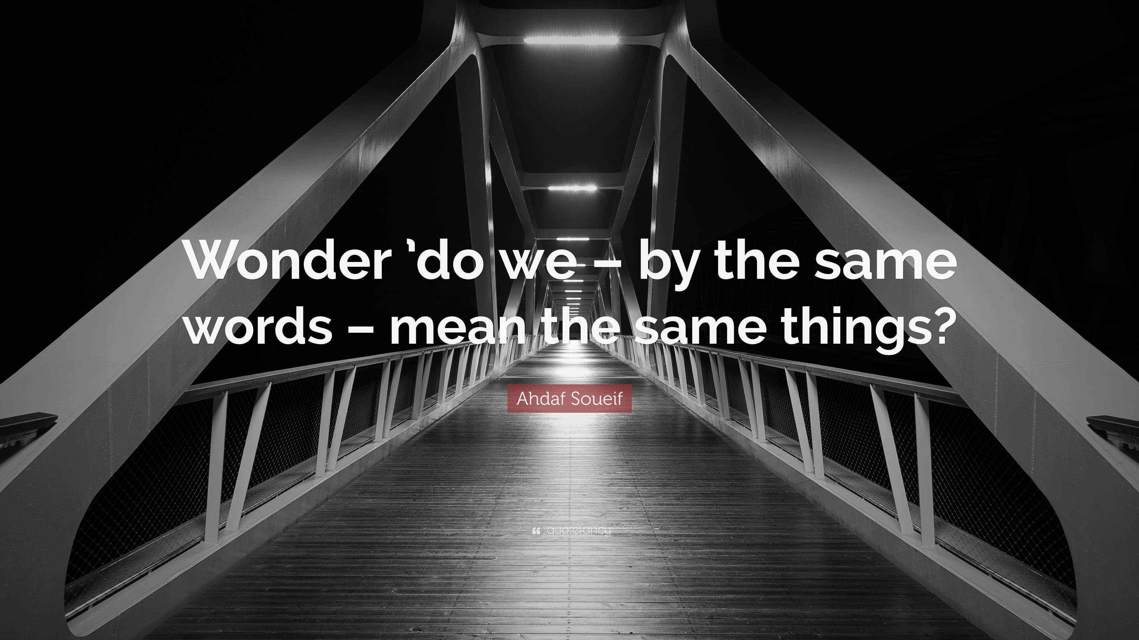 Ahdaf Soueif Quote “Wonder ’do we by the same words mean the same