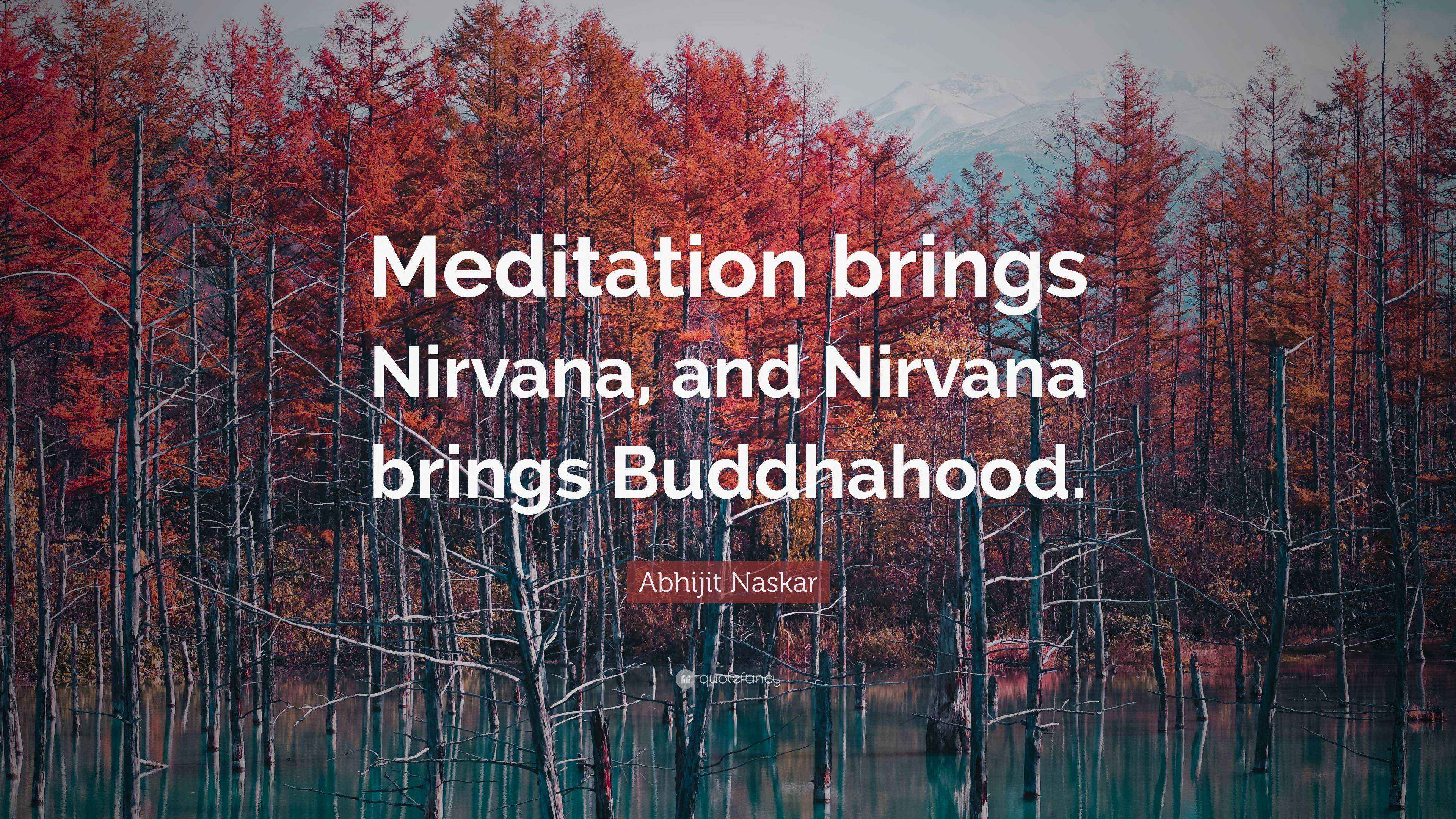 Abhijit Naskar Quote: “Meditation brings Nirvana, and Nirvana brings