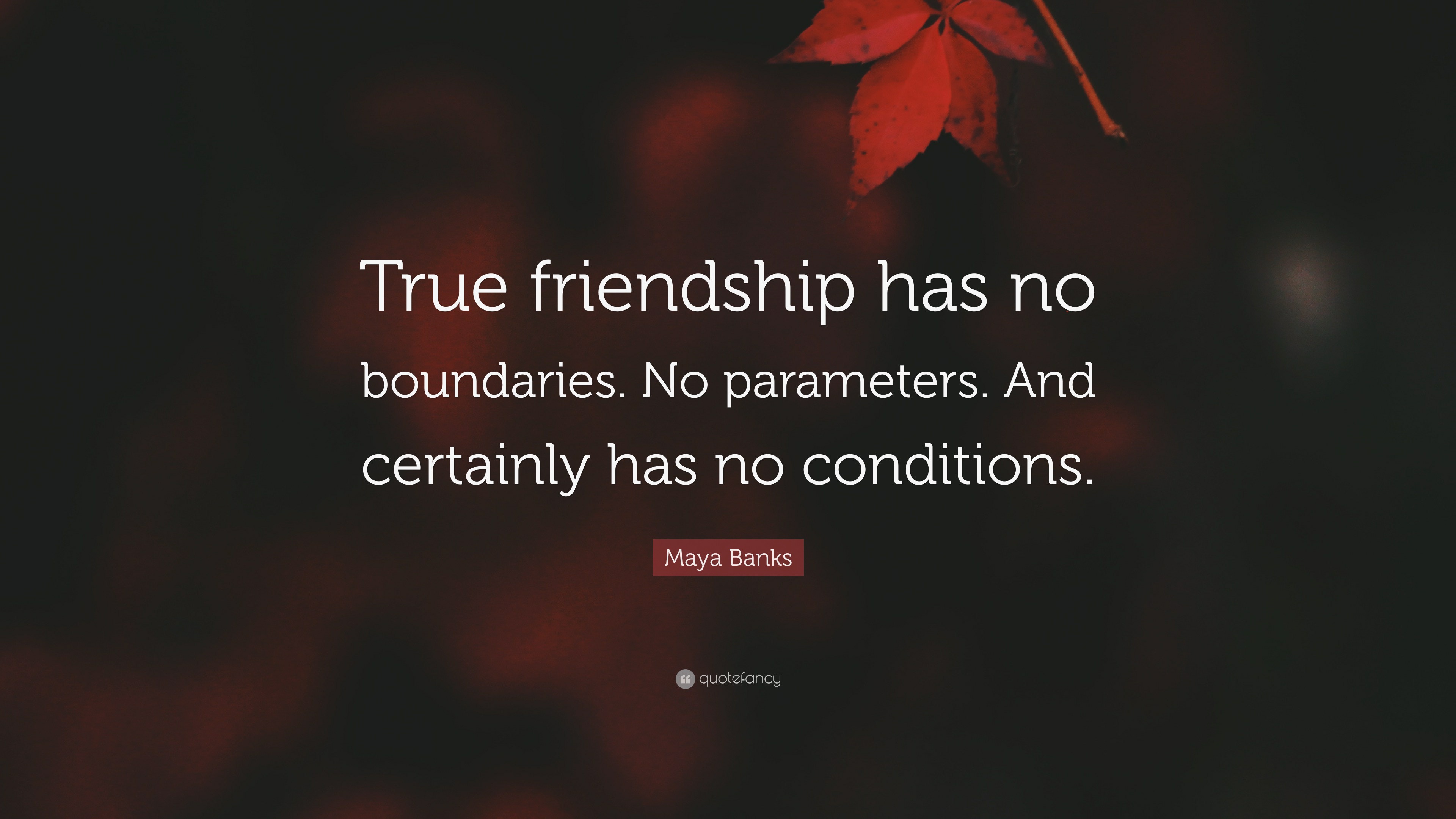 Maya Banks Quote: “True friendship has no boundaries. No parameters. And  certainly has no conditions.”