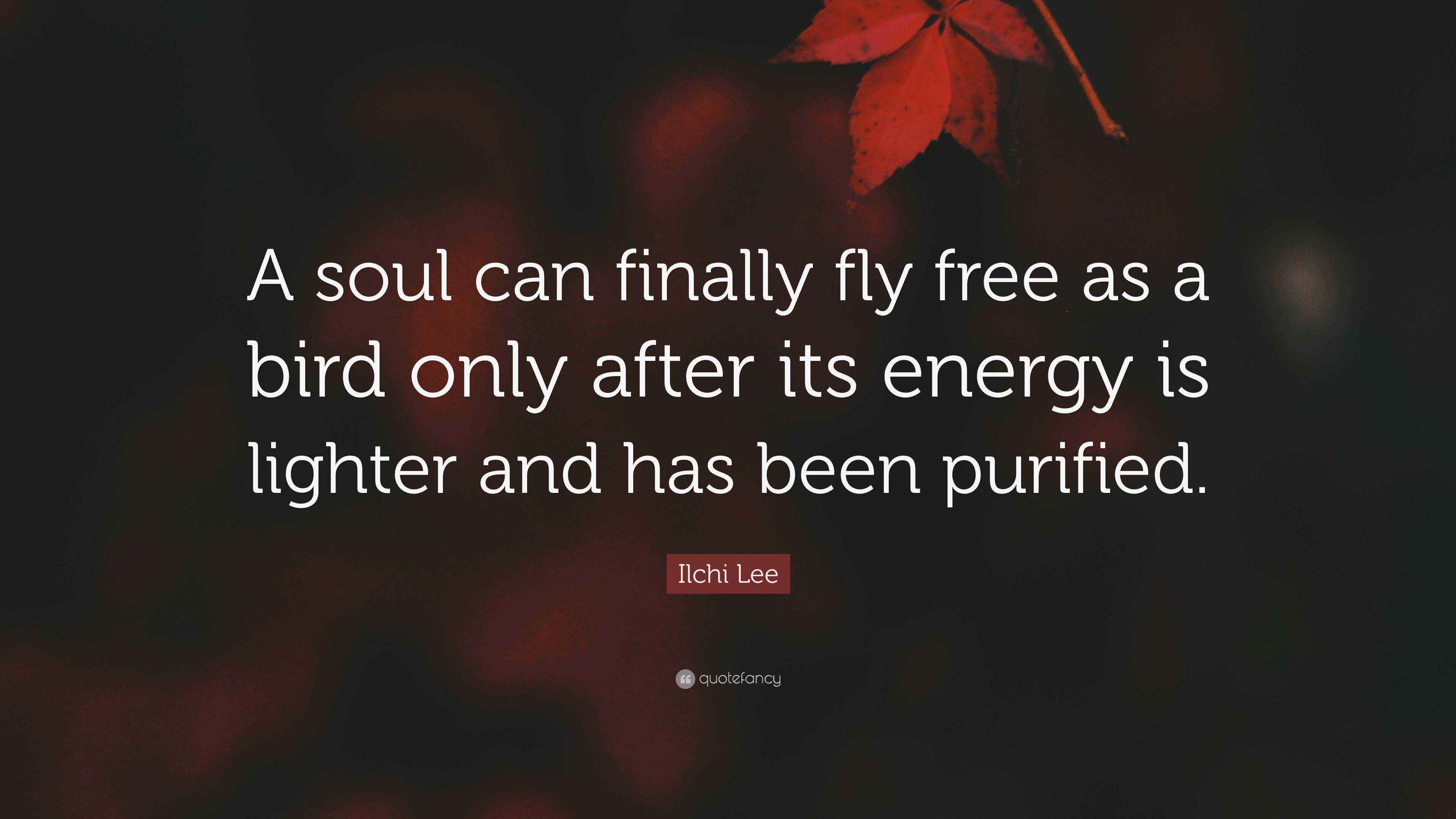 Ilchi Lee Quote “A soul can finally fly free as a bird only after its