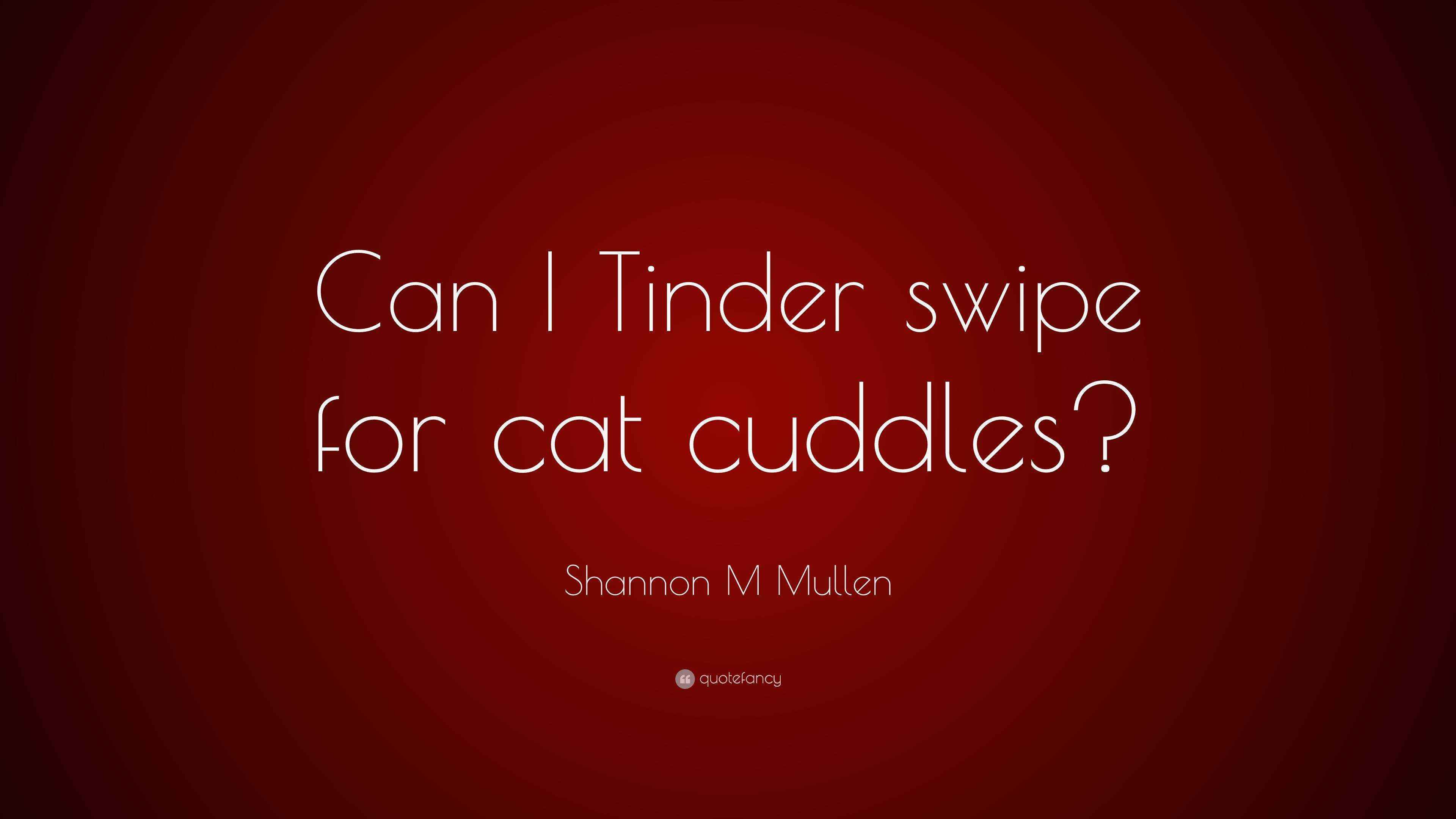 Shannon M Mullen Quote “Can I Tinder swipe for cat cuddles?”