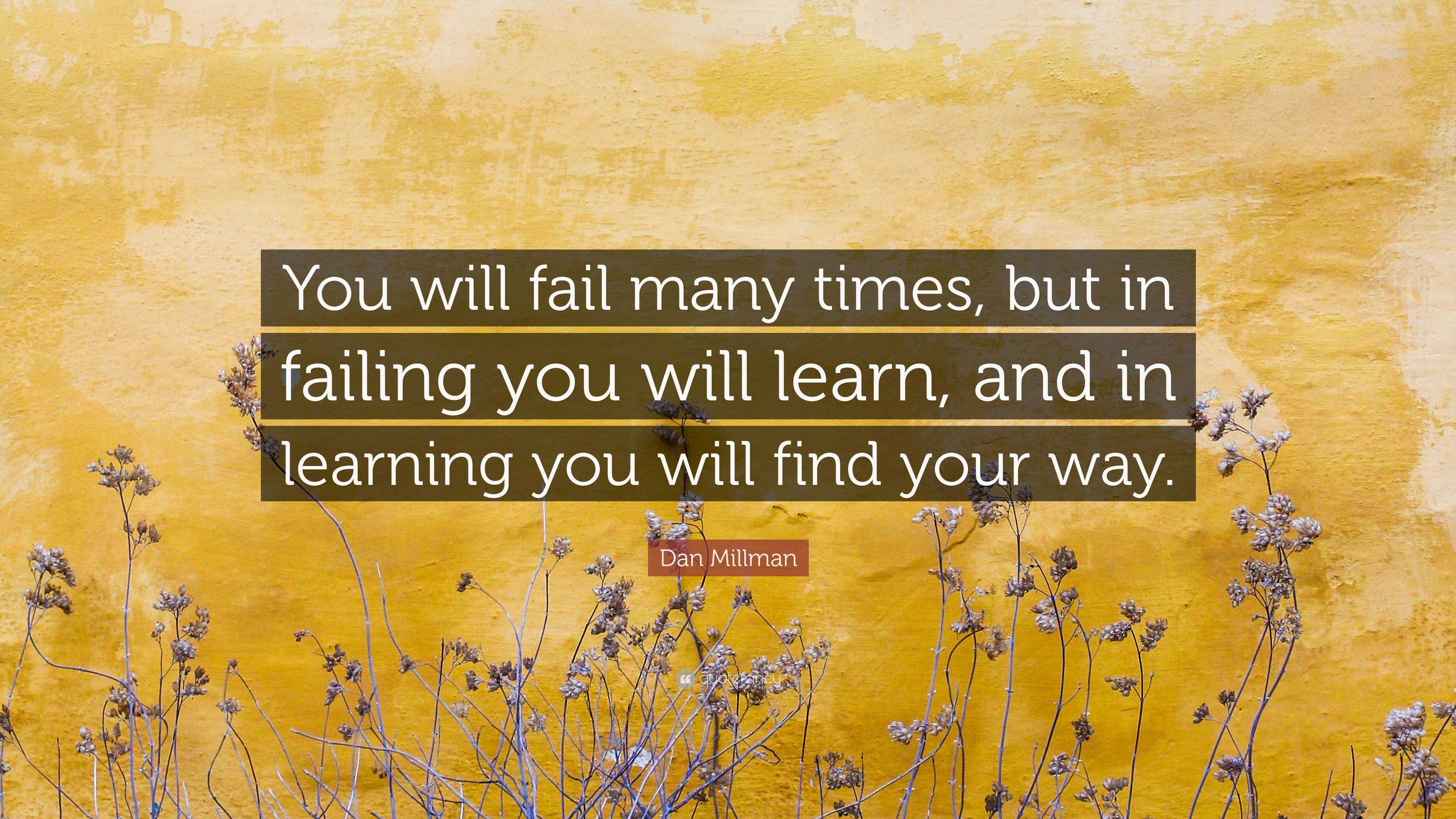 Dan Millman Quote: “You will fail many times, but in failing you will ...