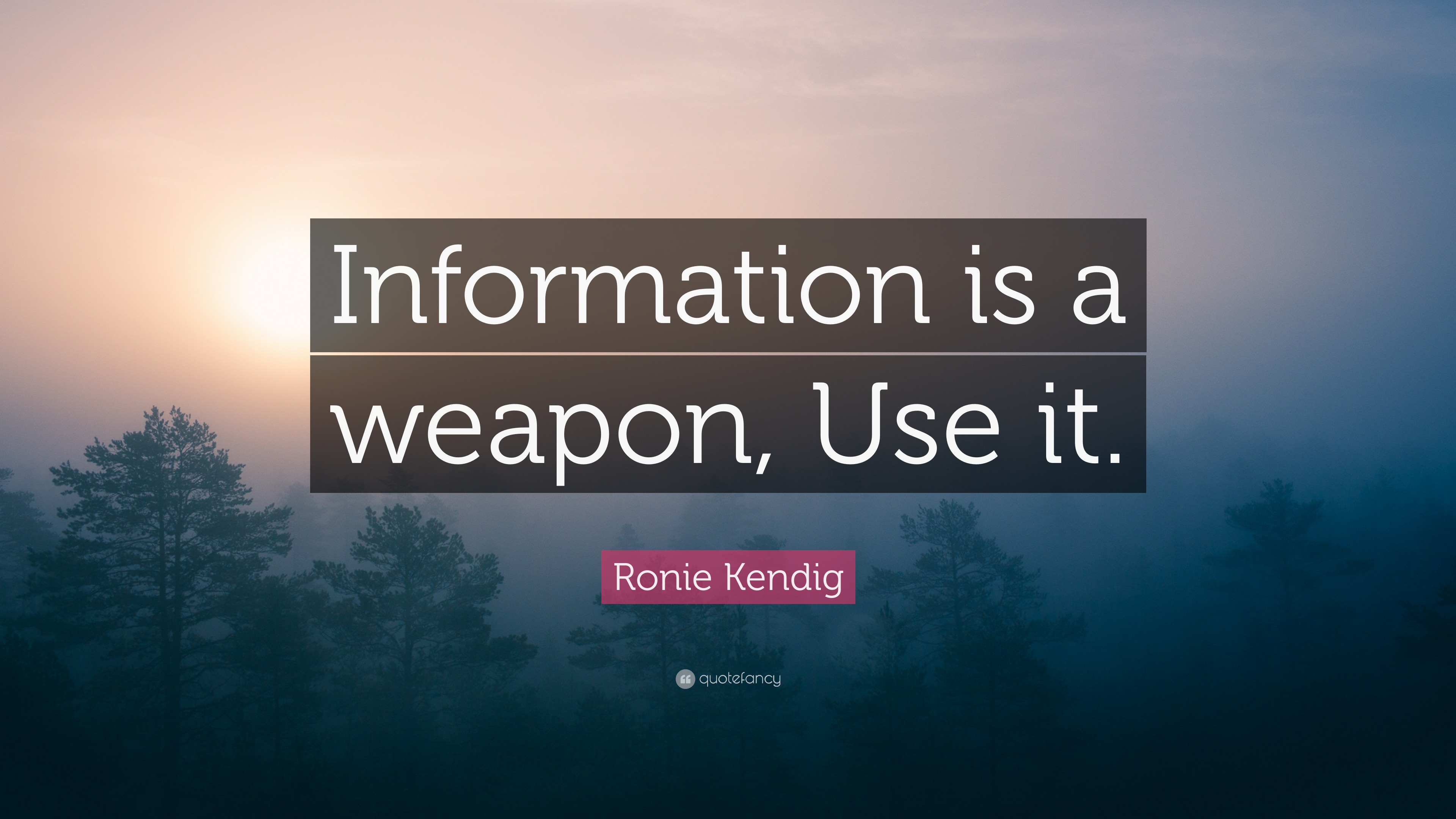 Ronie Kendig Quote: “Information is a weapon, Use it.”