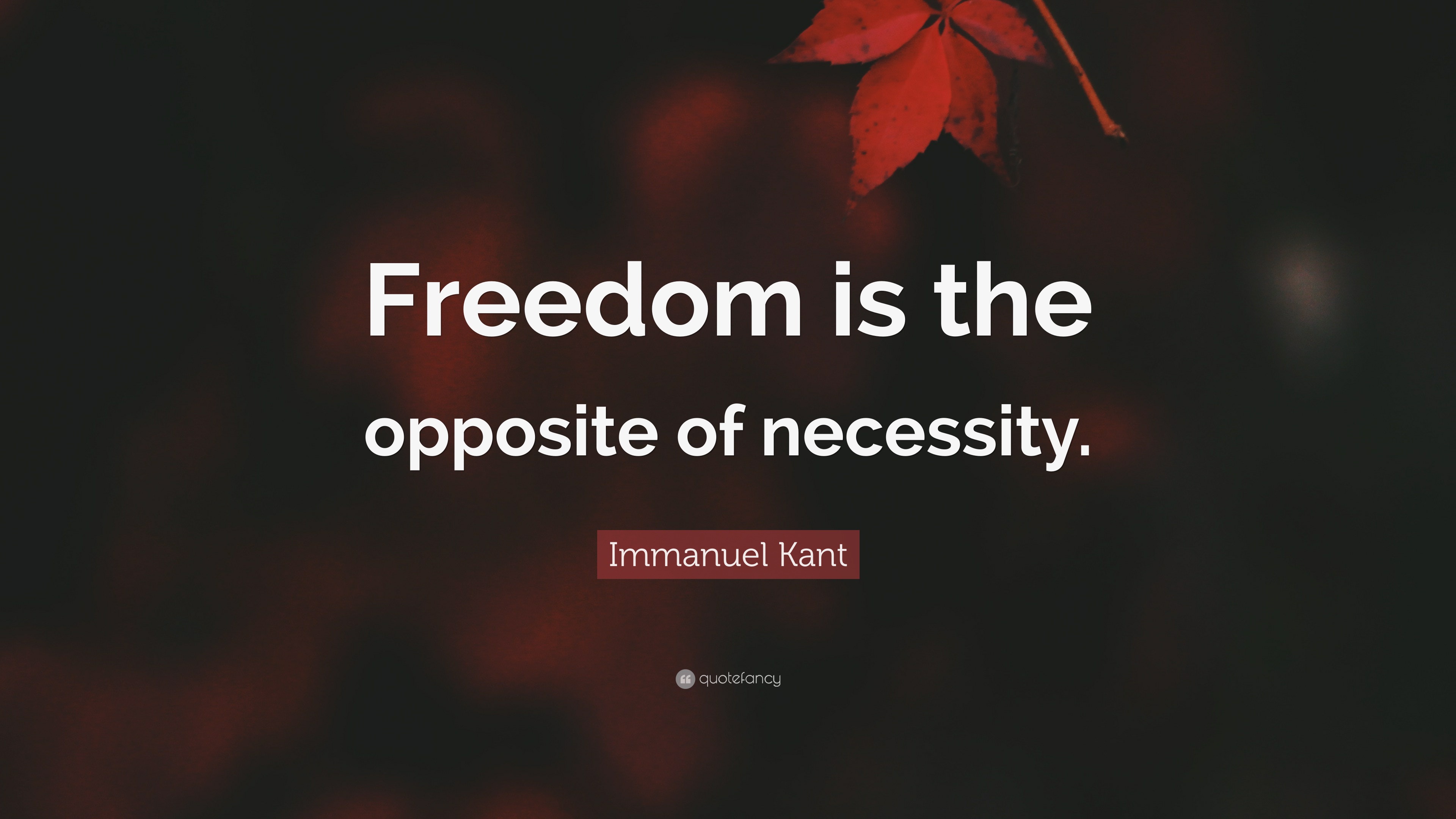 immanuel-kant-quote-freedom-is-the-opposite-of-necessity