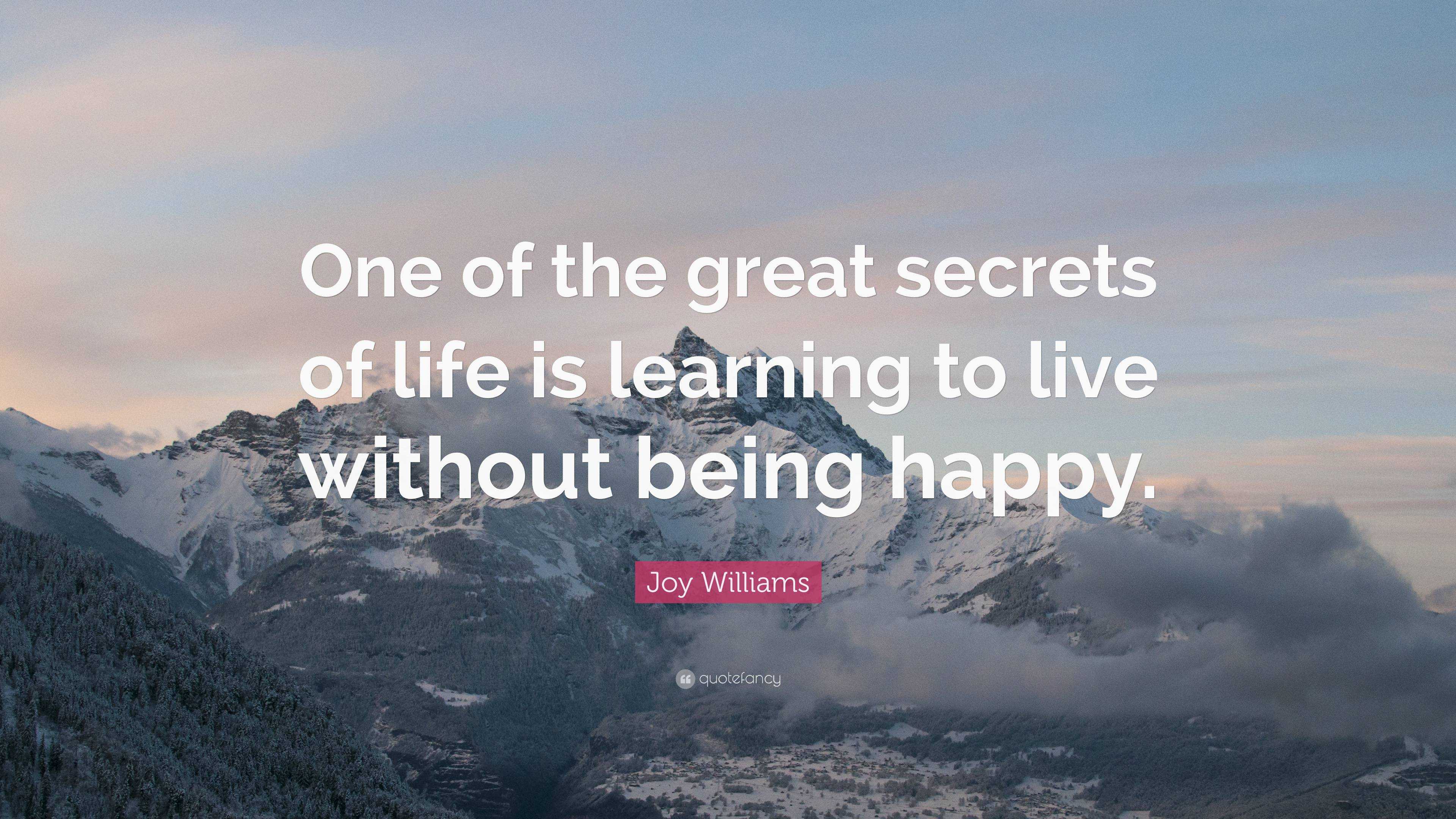 Joy Williams Quote: “one Of The Great Secrets Of Life Is Learning To 