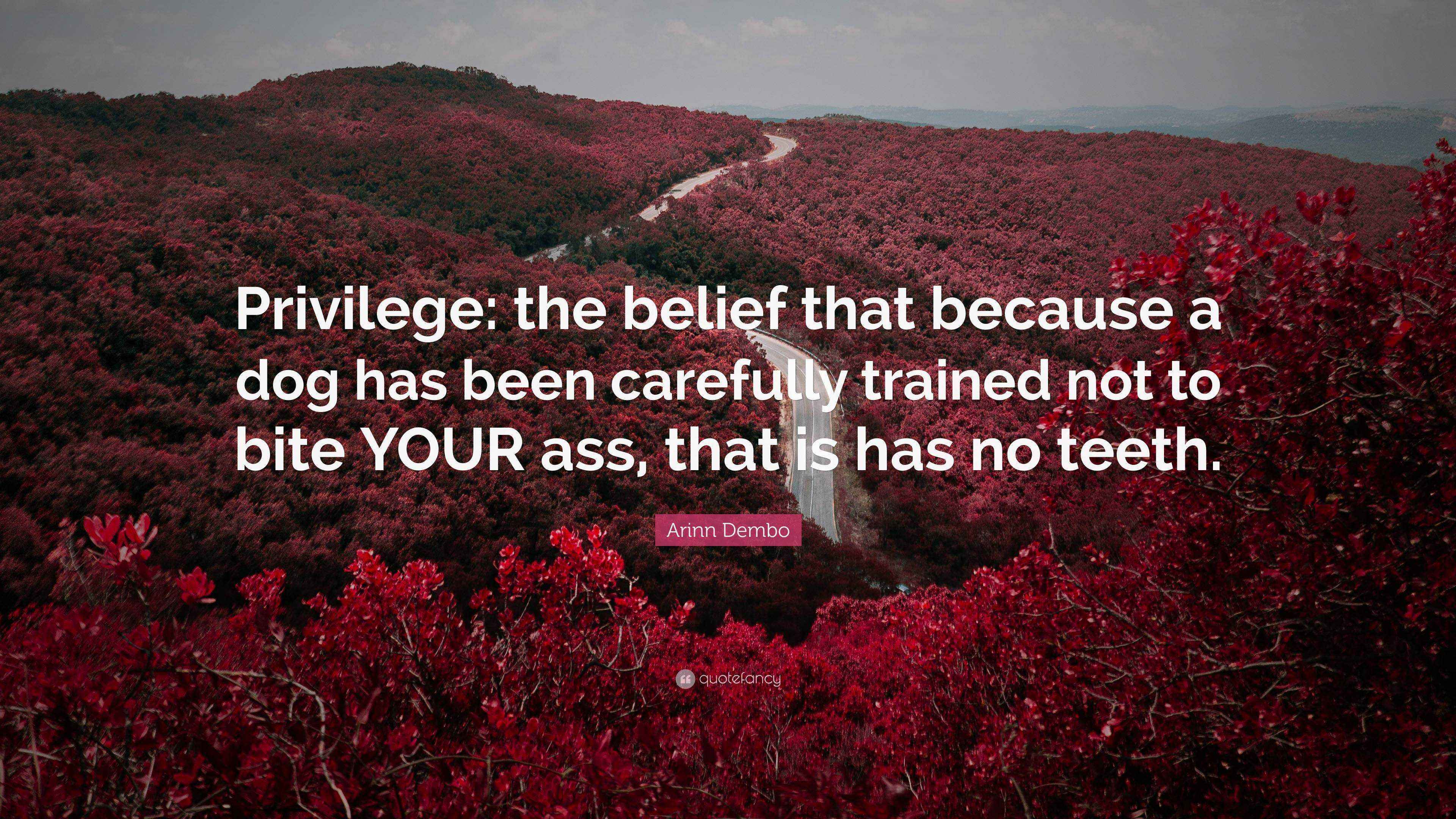 Arinn Dembo Quote: “Privilege: the belief that because a dog has been ...
