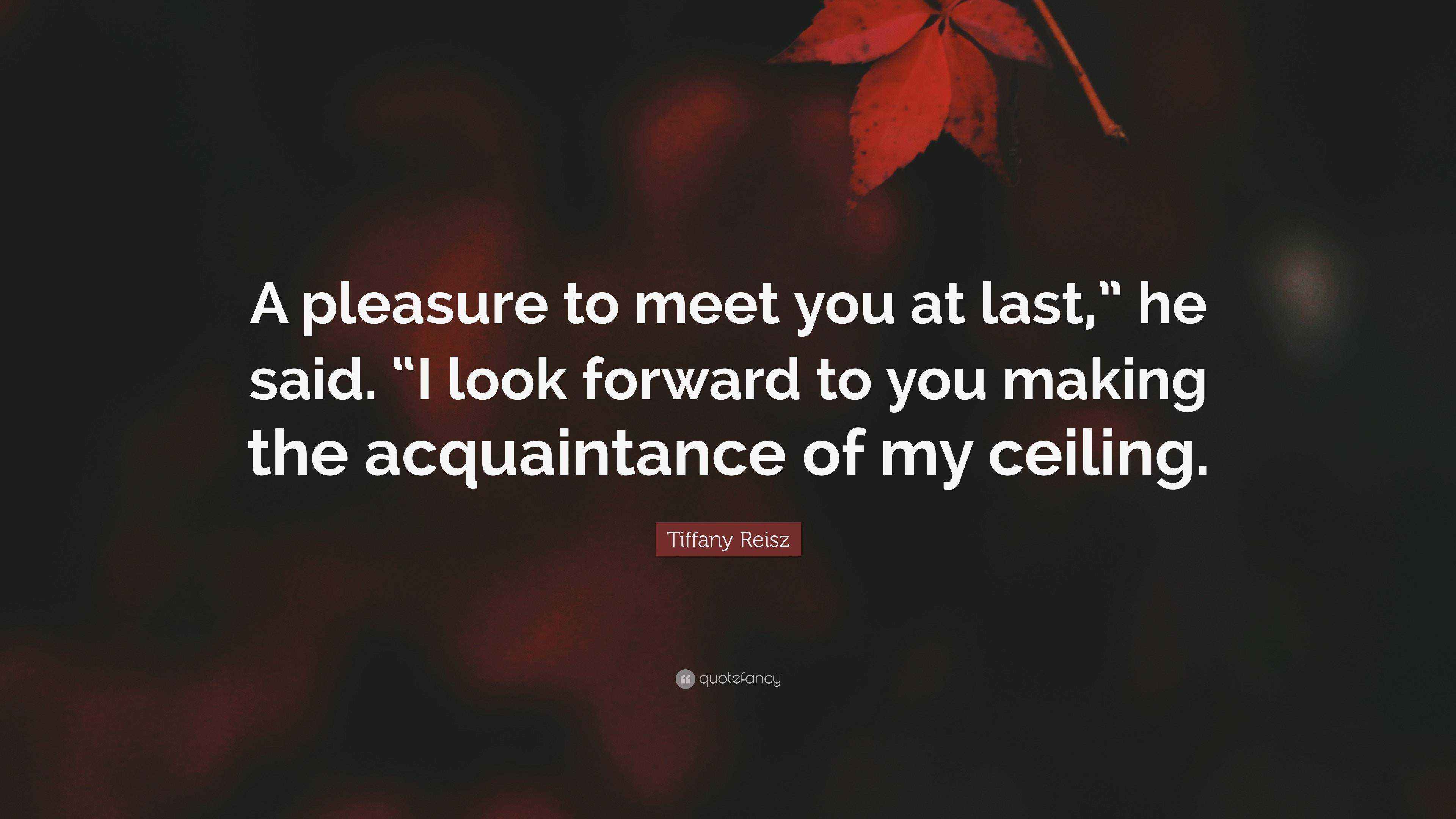 tiffany-reisz-quote-a-pleasure-to-meet-you-at-last-he-said-i-look