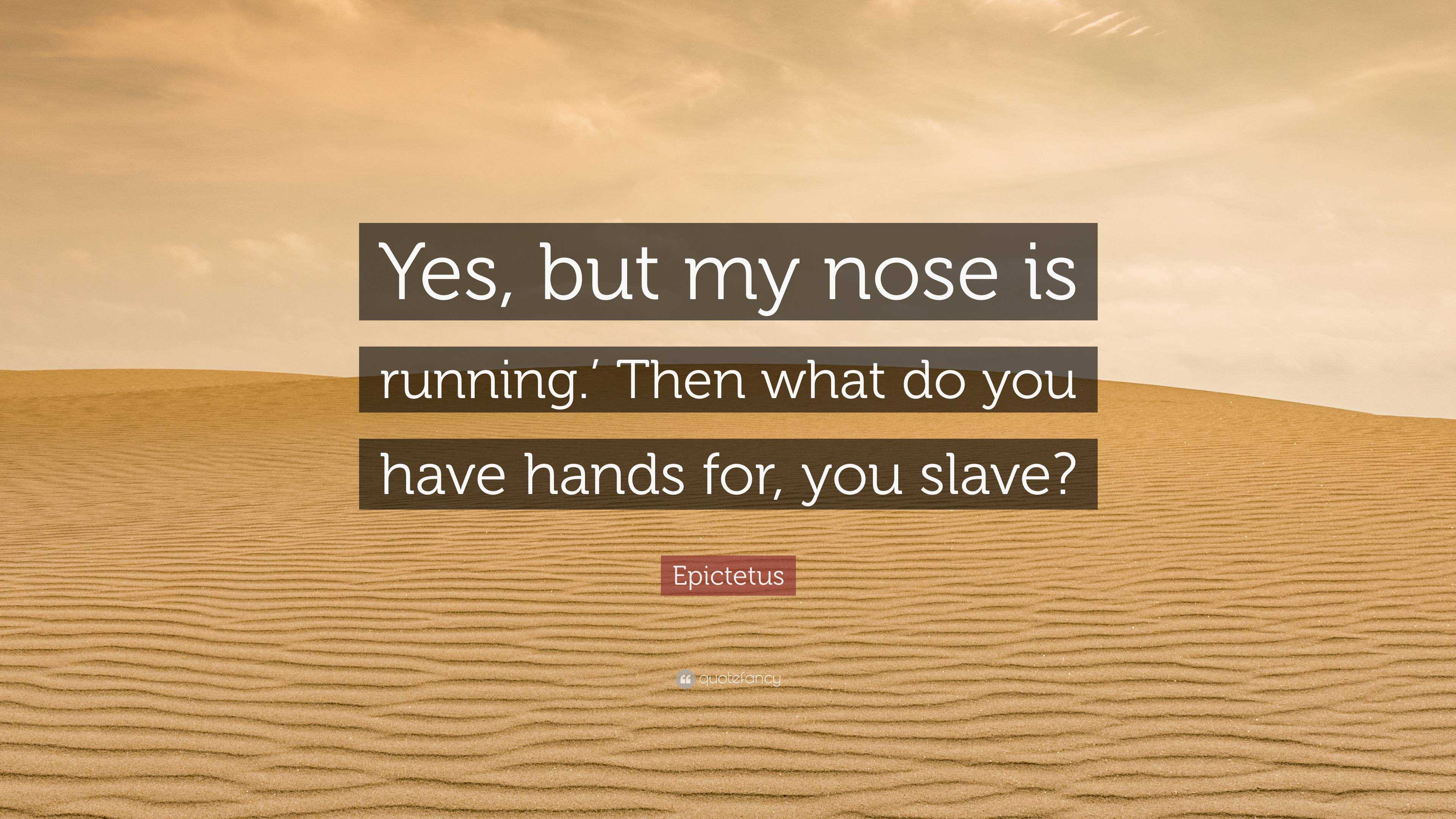 Epictetus Quote: “Yes, but my nose is running.’ Then what do you have ...