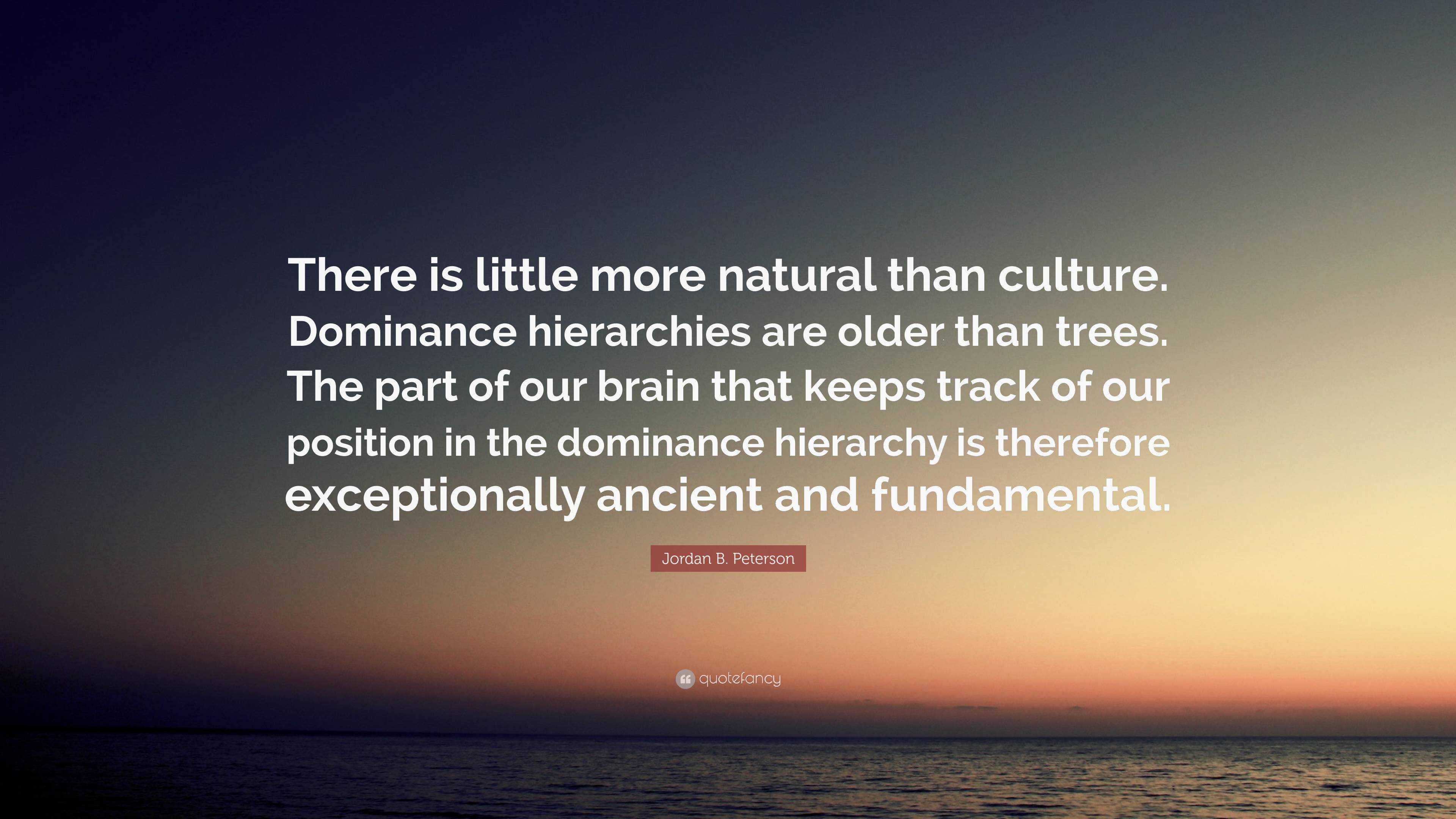 Jordan B. Peterson Quote: “There is little more natural than culture. Dominance hierarchies are older than trees. part of our brain that keeps ...”