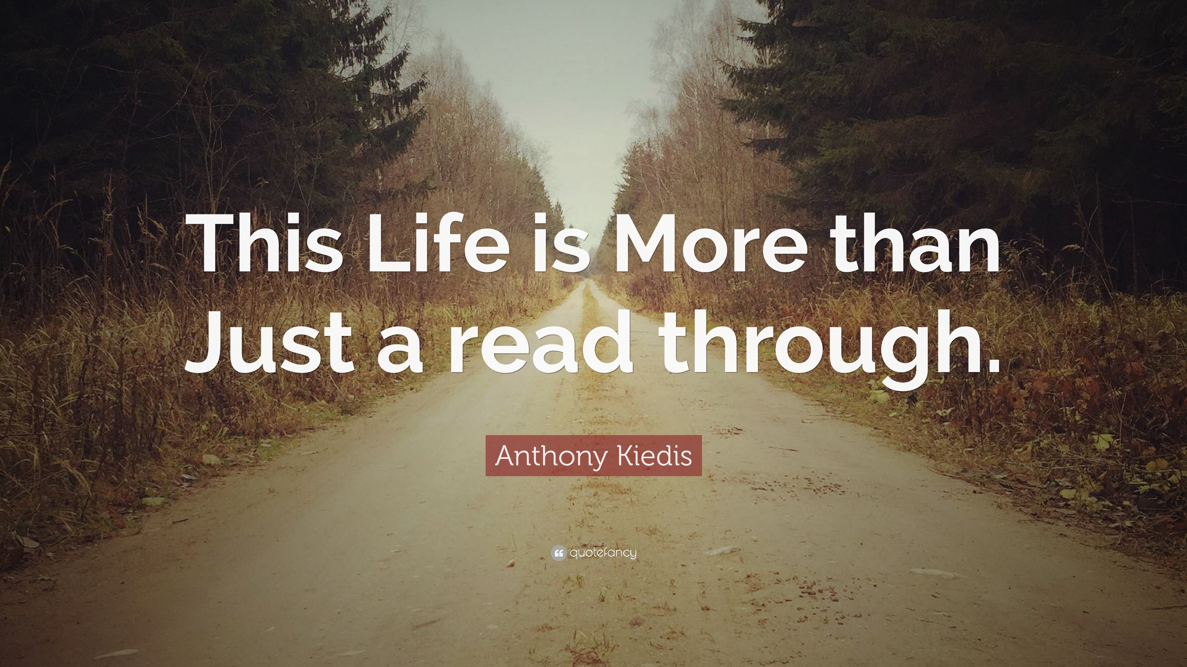 Anthony Kiedis Quote: “This Life is More than Just a read through.”