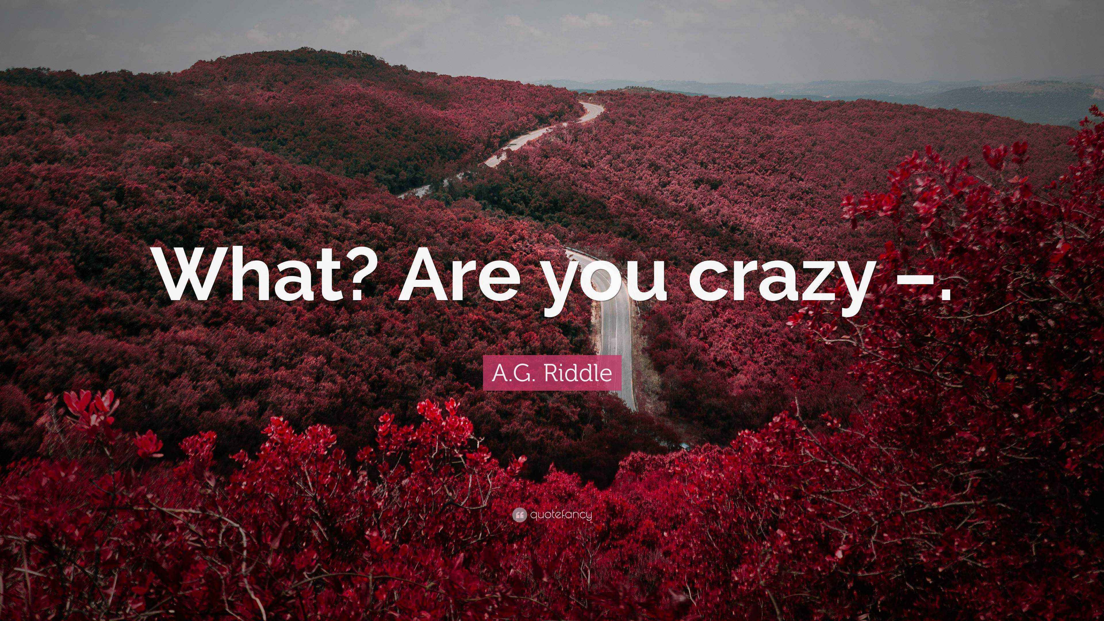 A.G. Riddle Quote: “What? Are you crazy