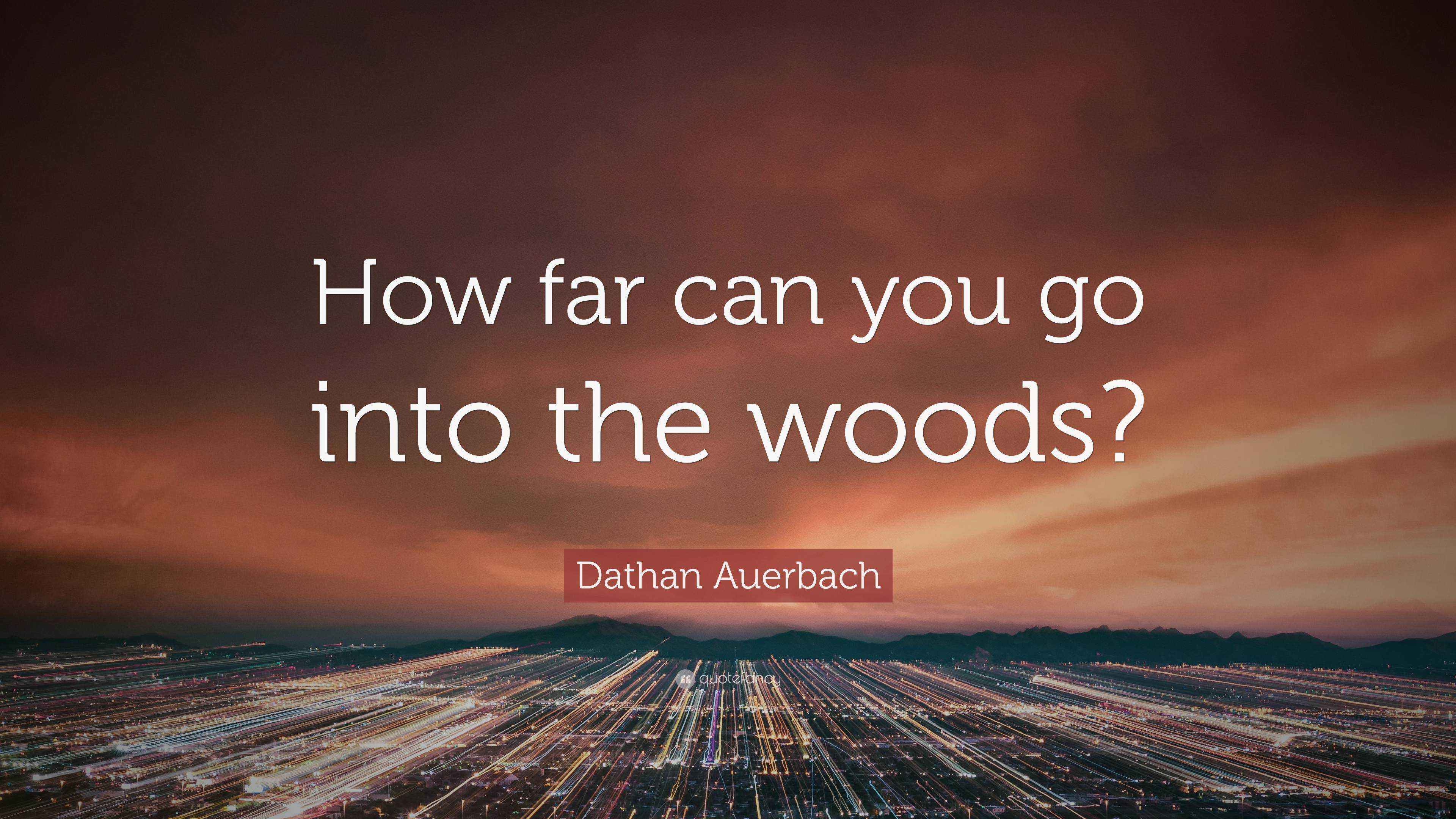 Dathan Auerbach Quote “How far can you go into the