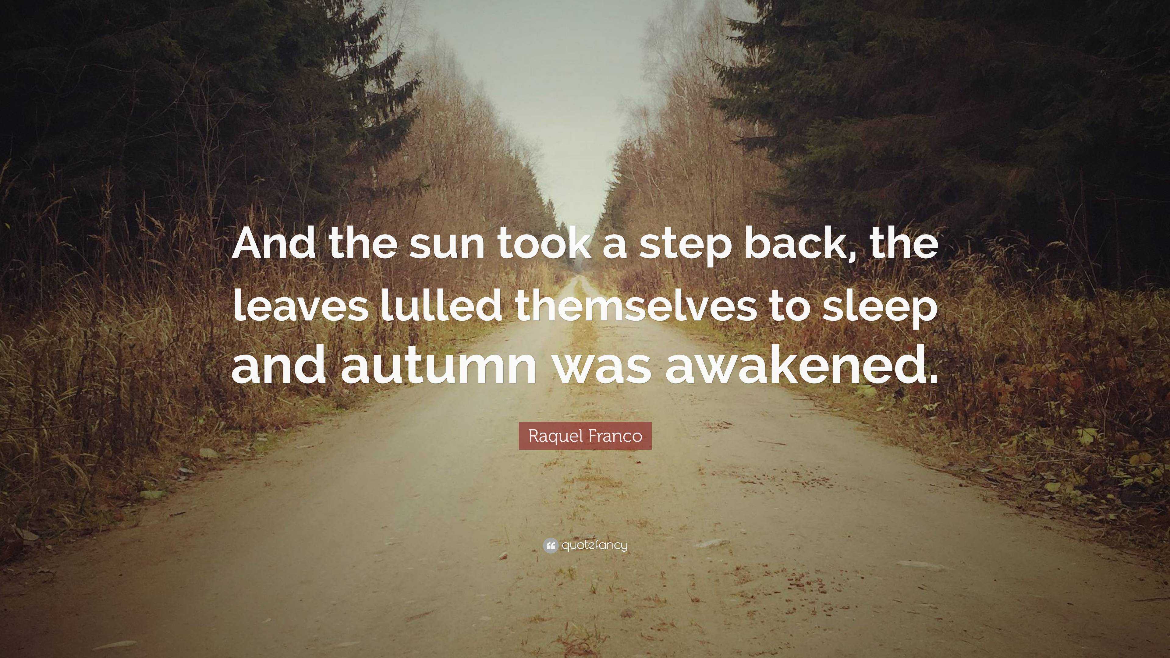 https://quotefancy.com/media/wallpaper/3840x2160/6749727-Raquel-Franco-Quote-And-the-sun-took-a-step-back-the-leaves-lulled.jpg