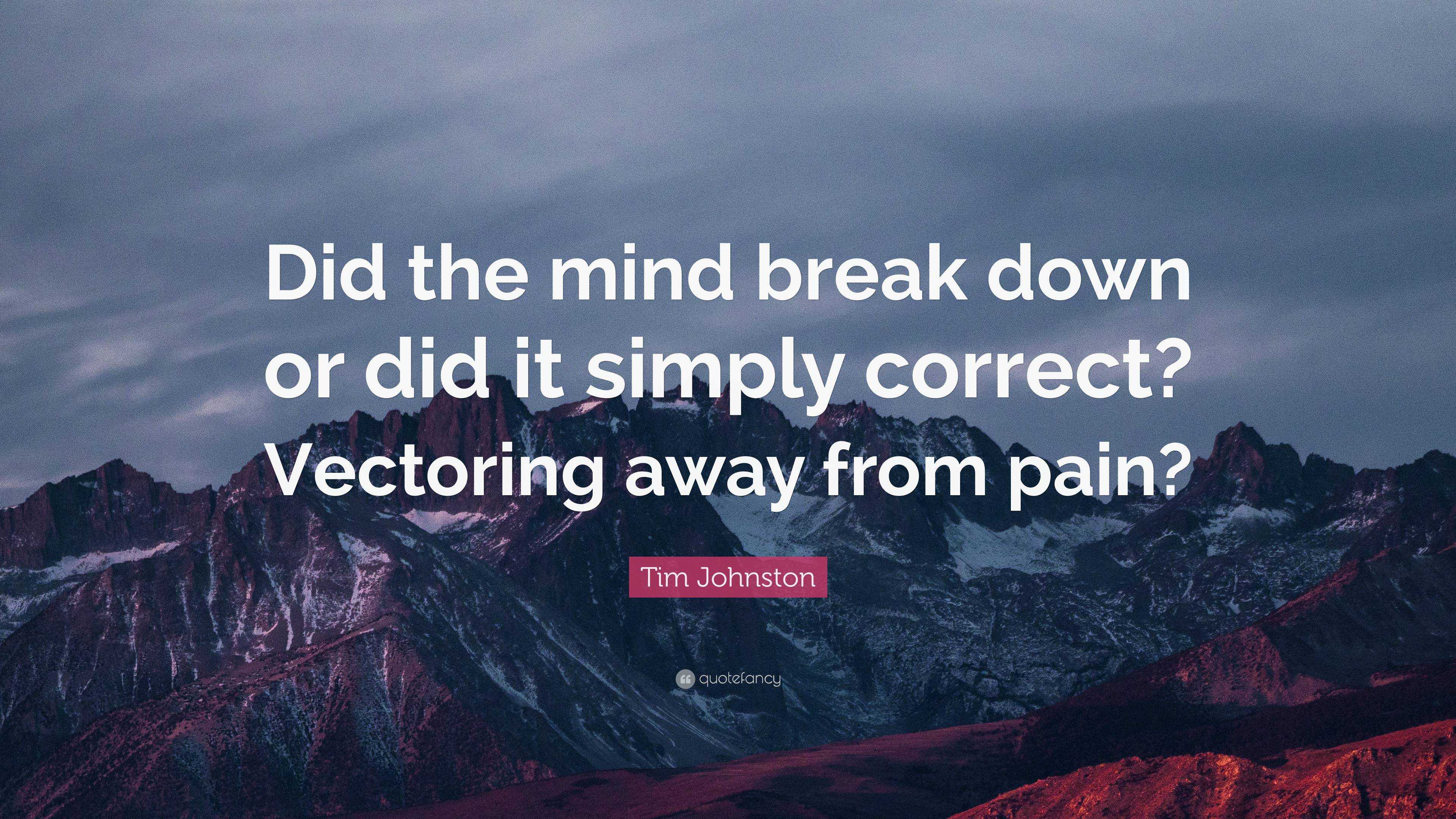 Tim Johnston Quote: “Did the mind break down or did it simply correct?  Vectoring away from