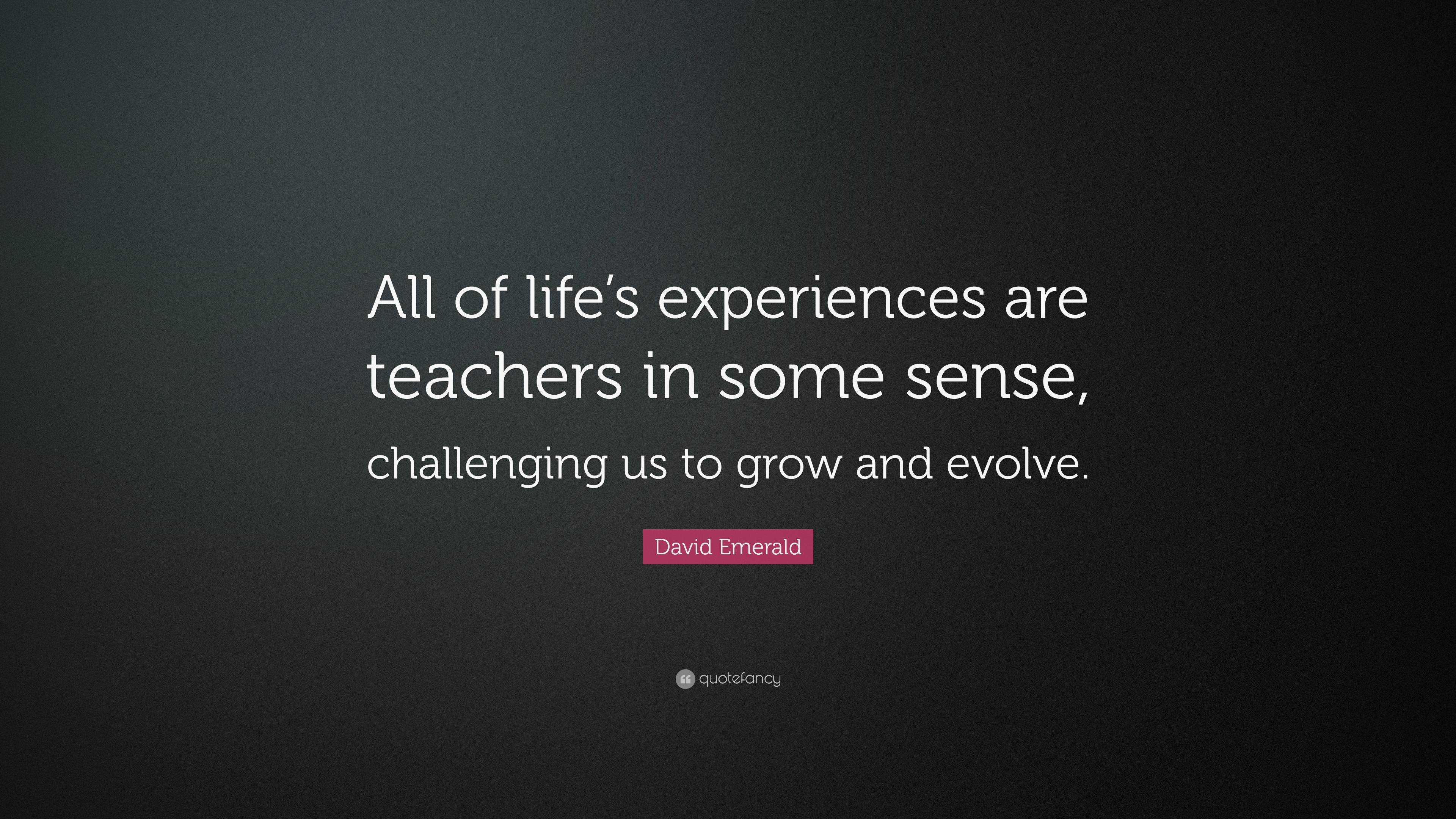 David Emerald Quote: “All of life’s experiences are teachers in some ...